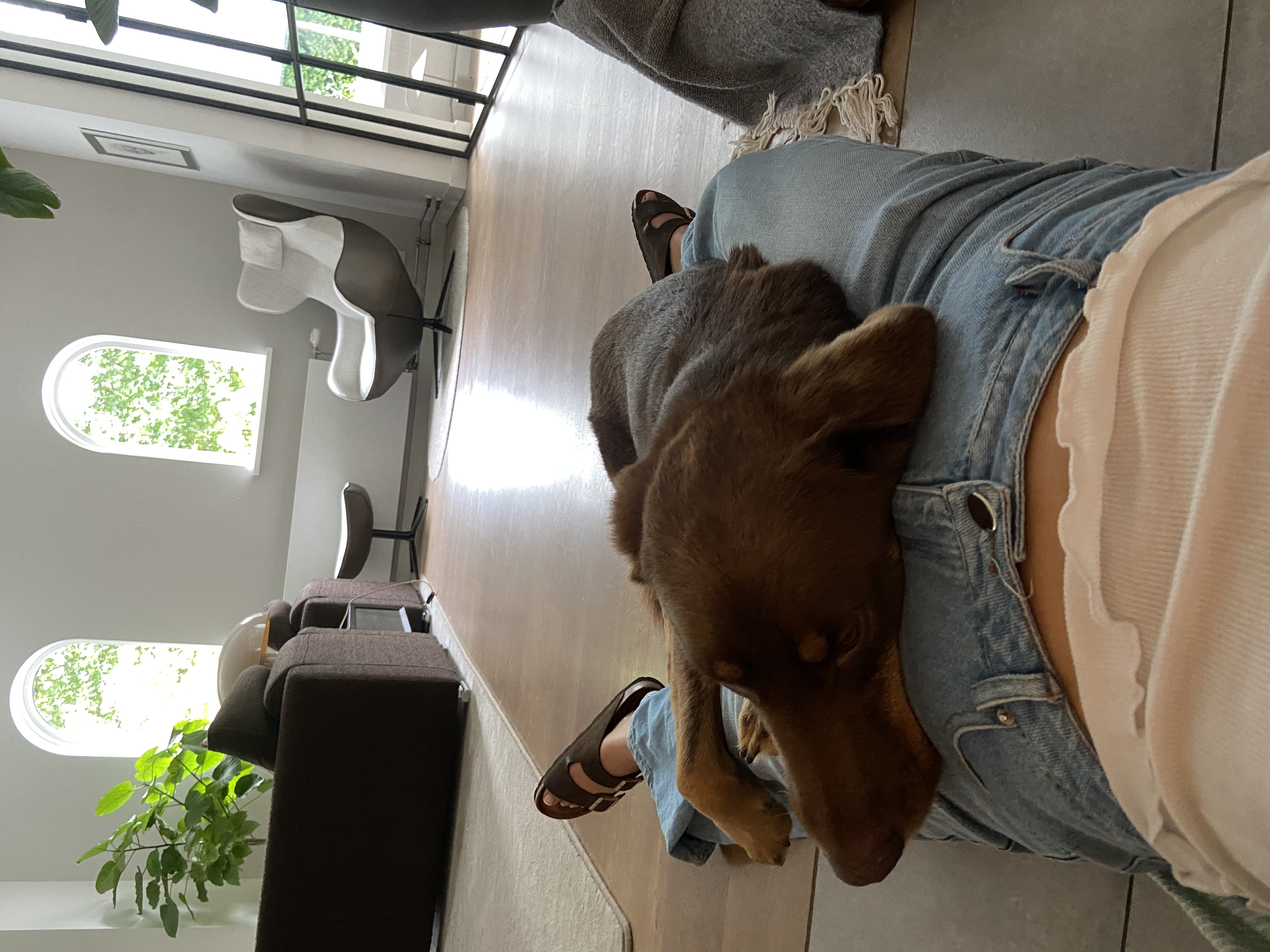 image-5