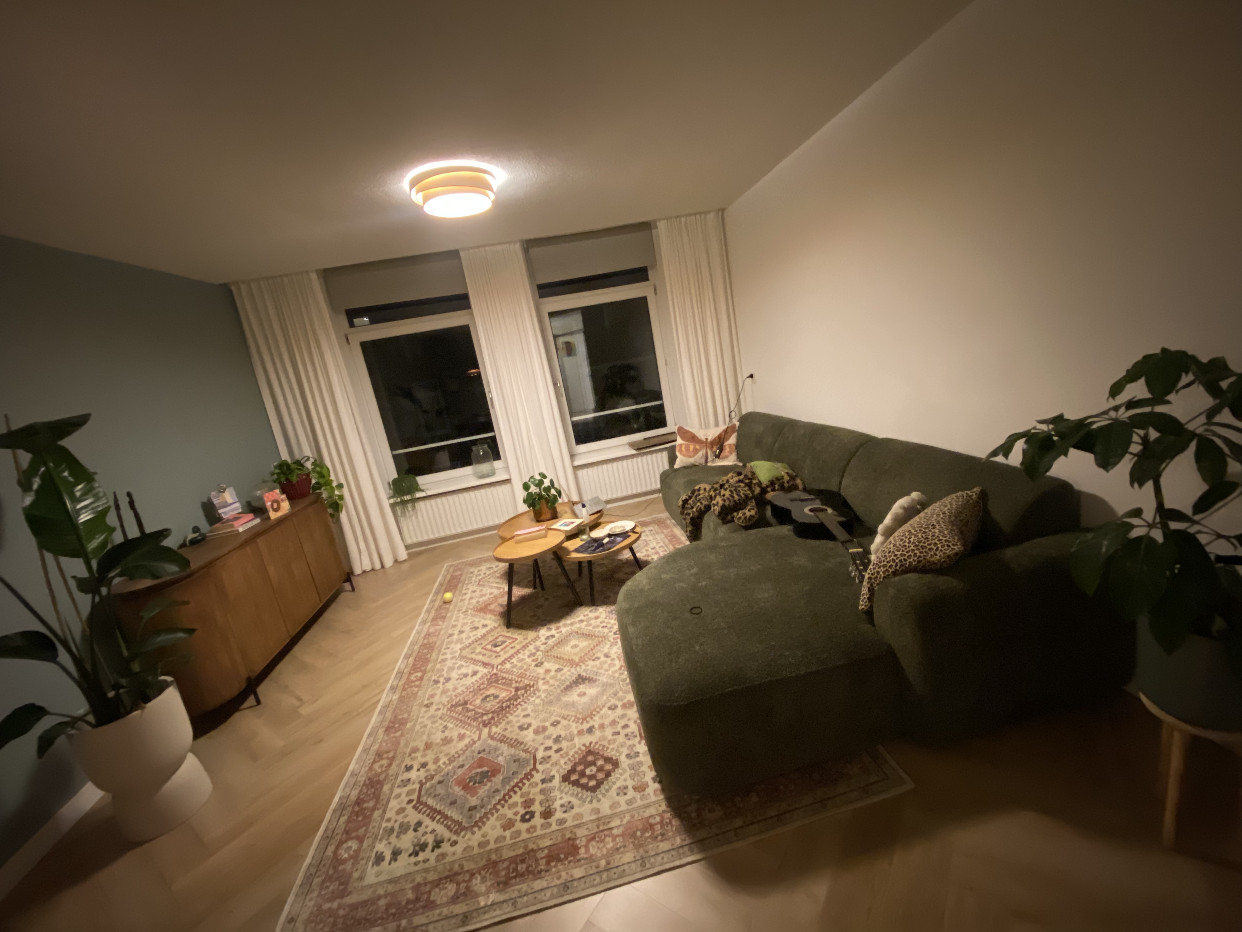 image-8