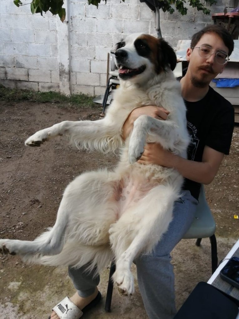 image-4