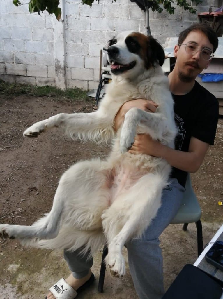 image-4