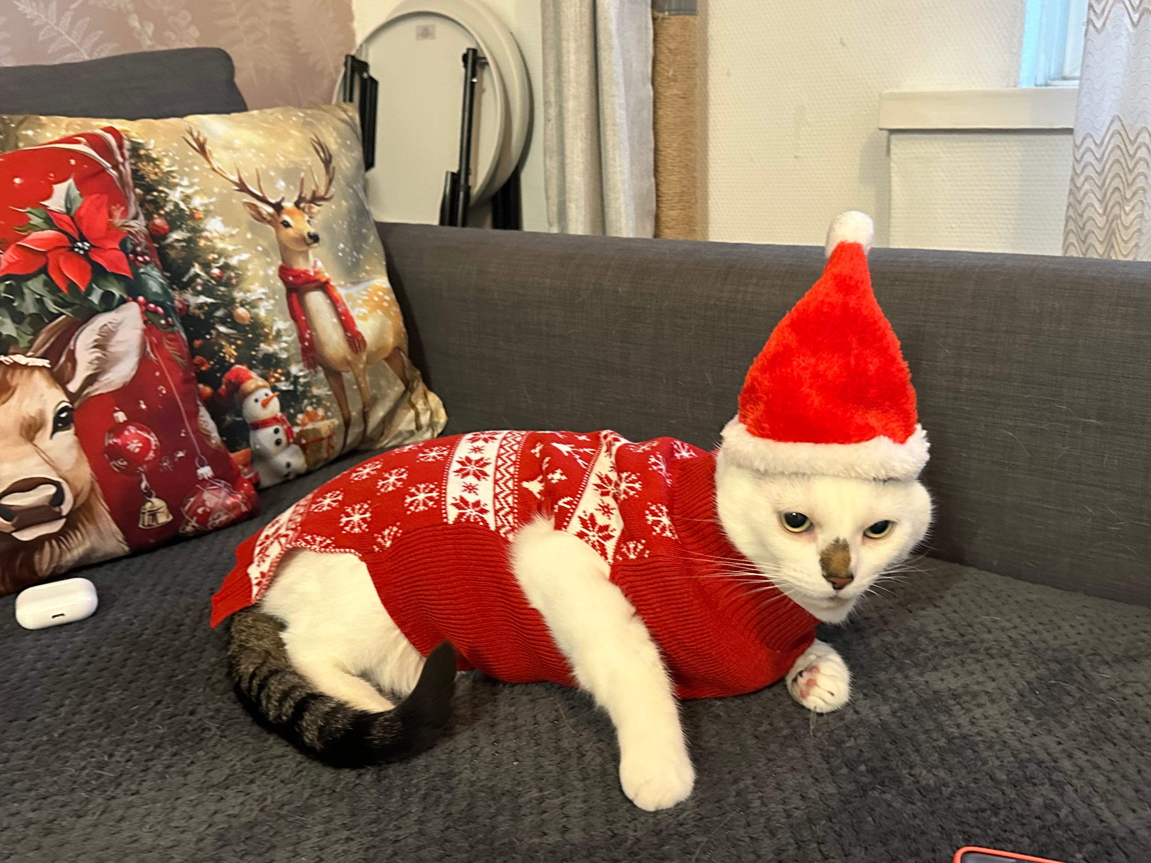 image-3
