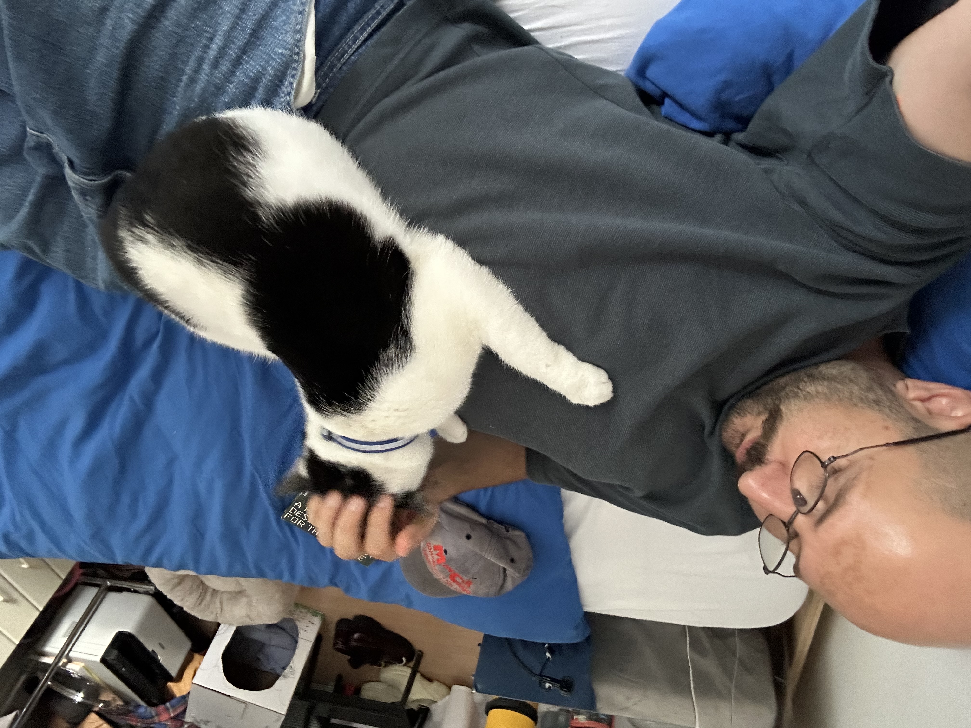 image-6