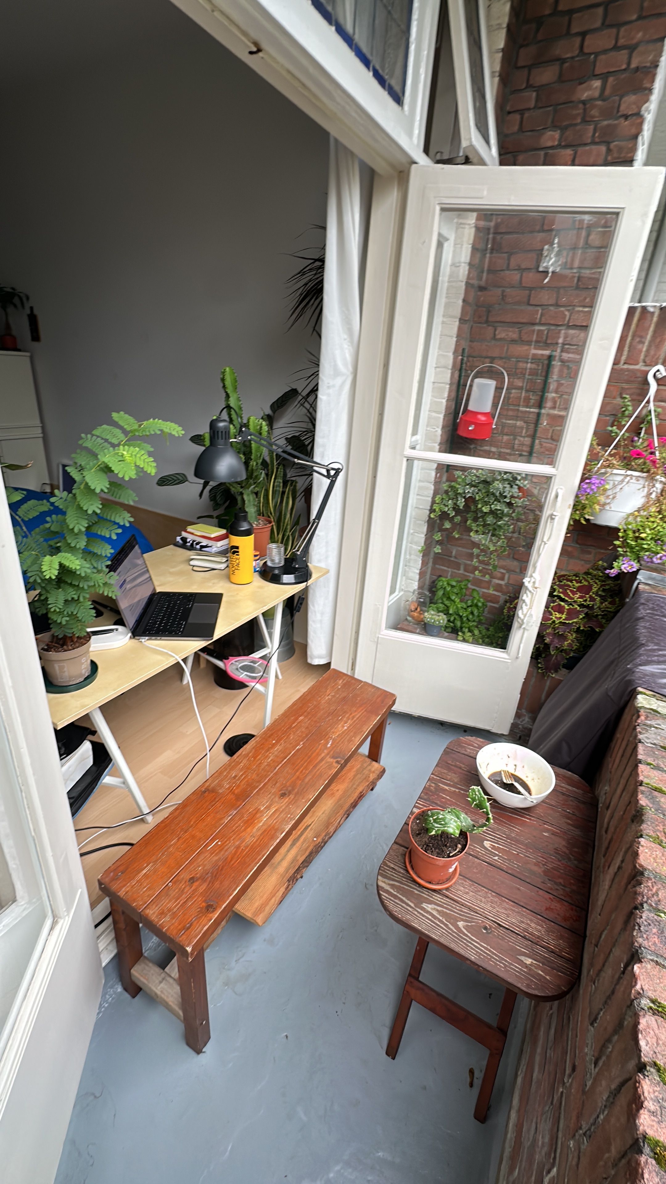 image-19