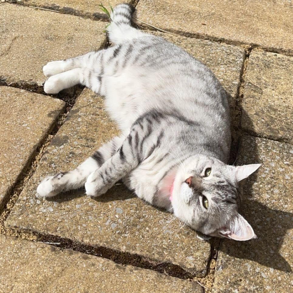 Luna