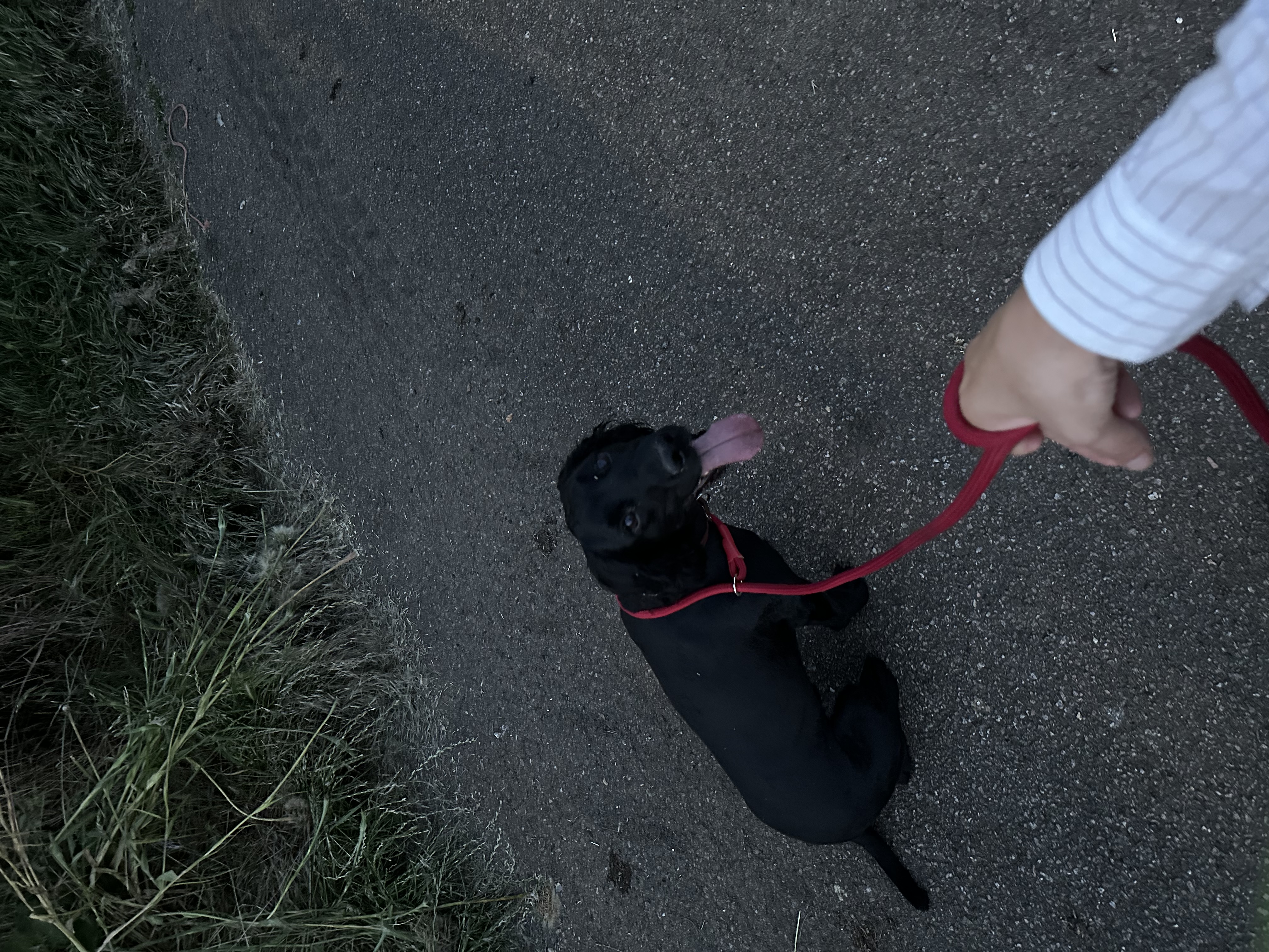 image-9