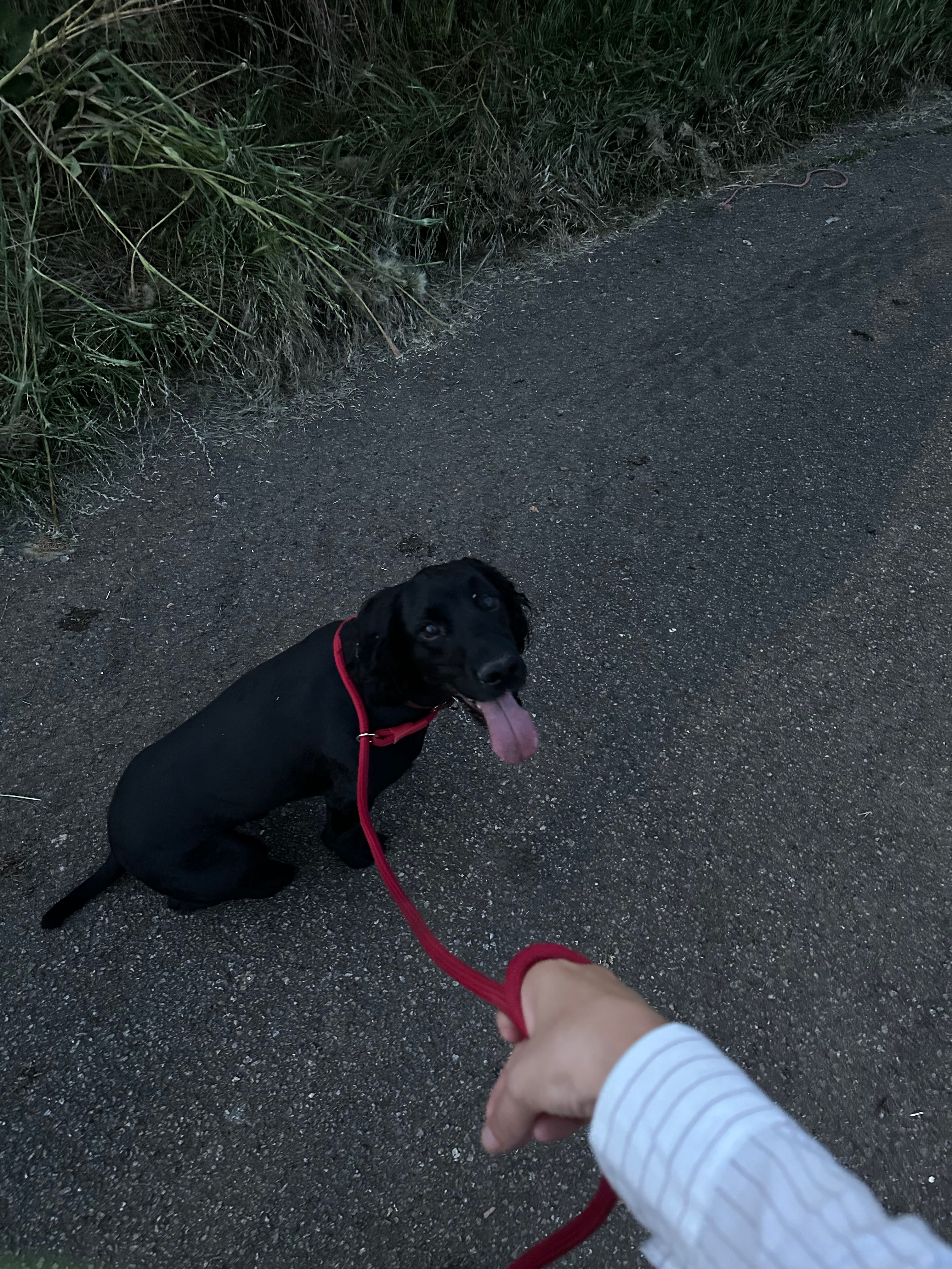 image-9