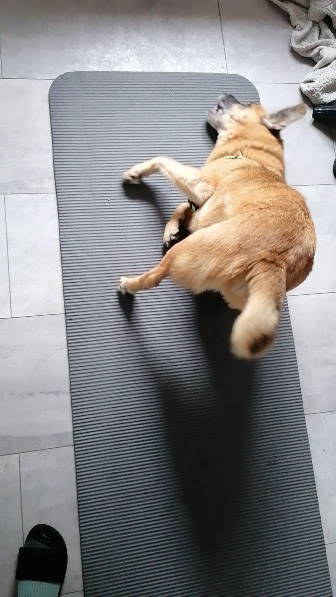 image-9