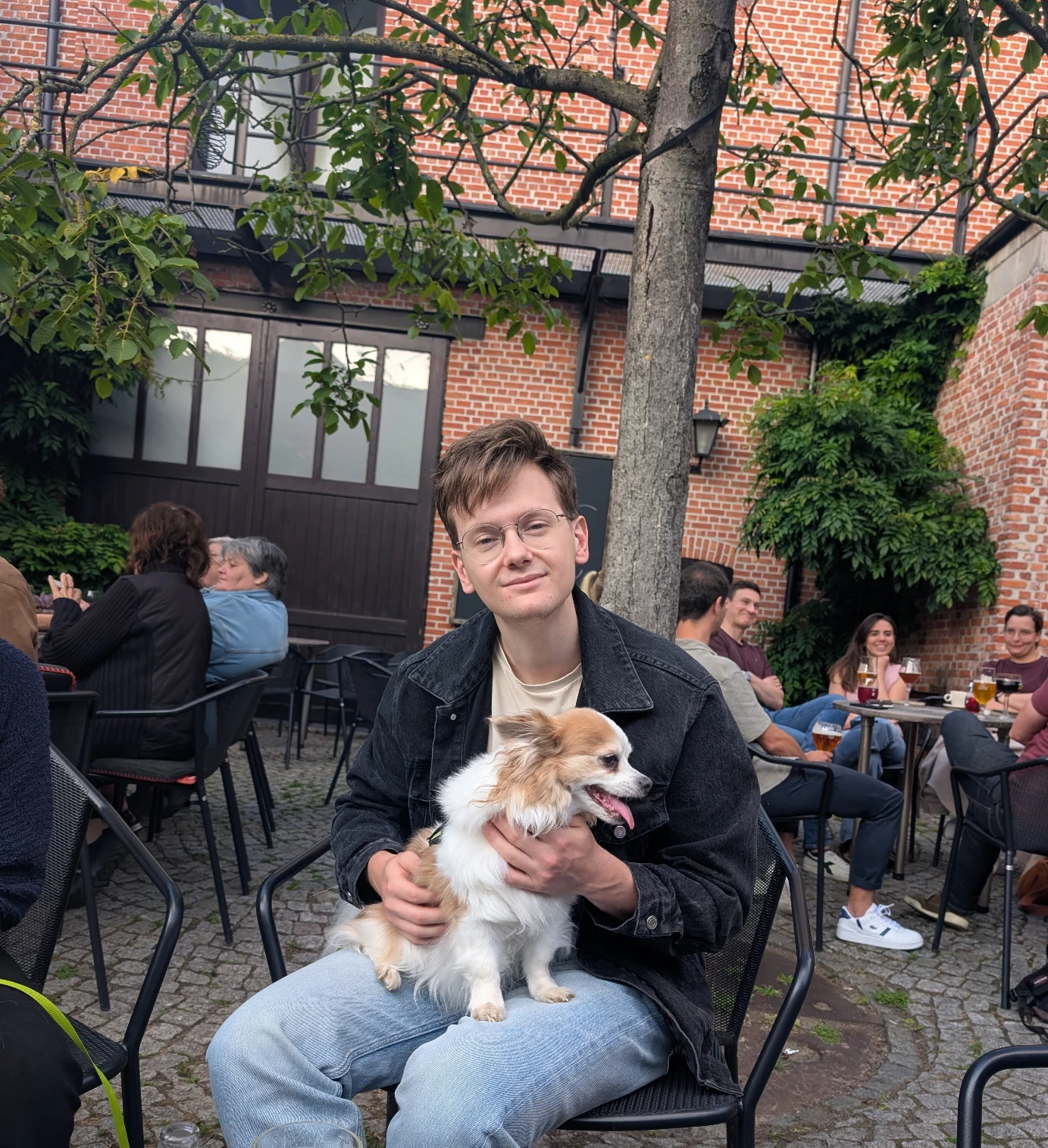 image-11