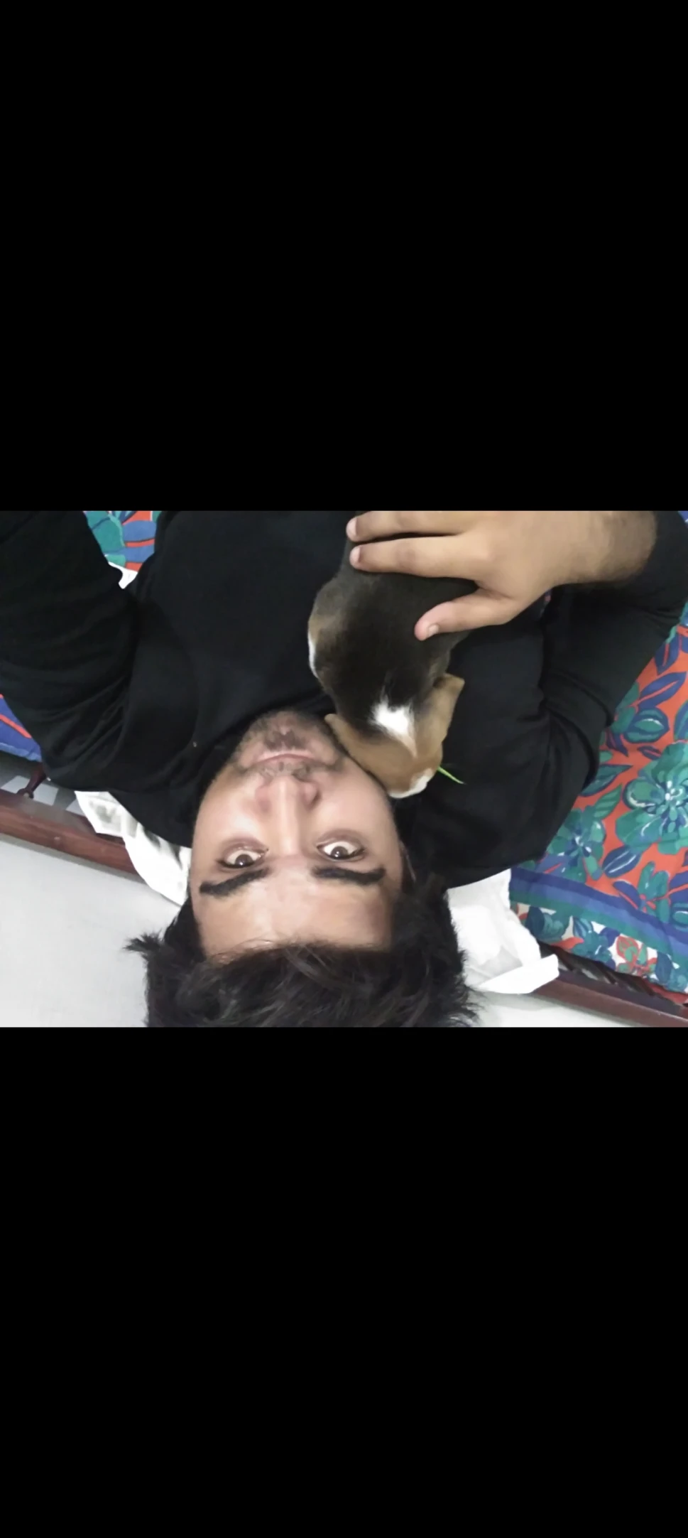 image-3