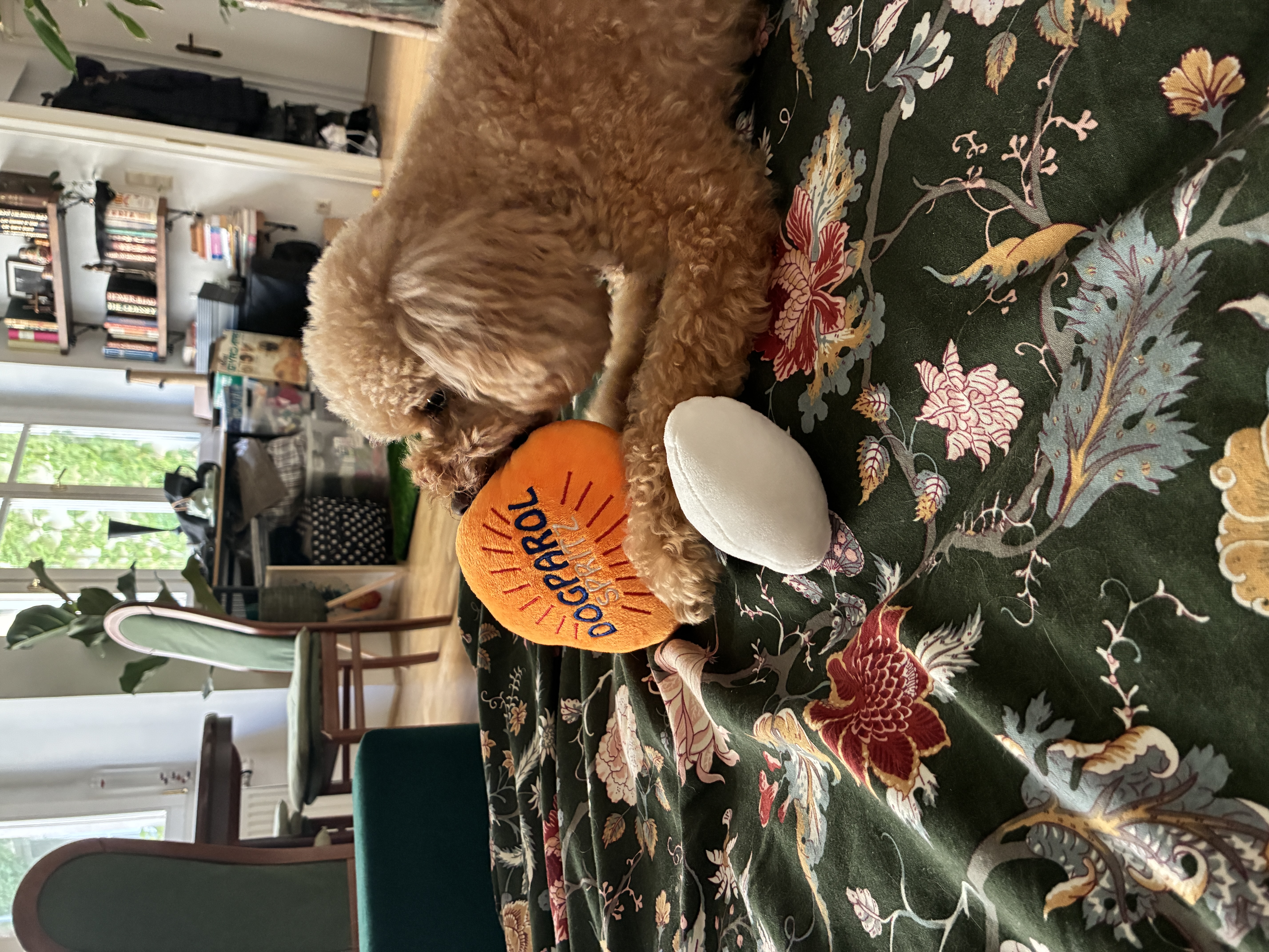 image-15