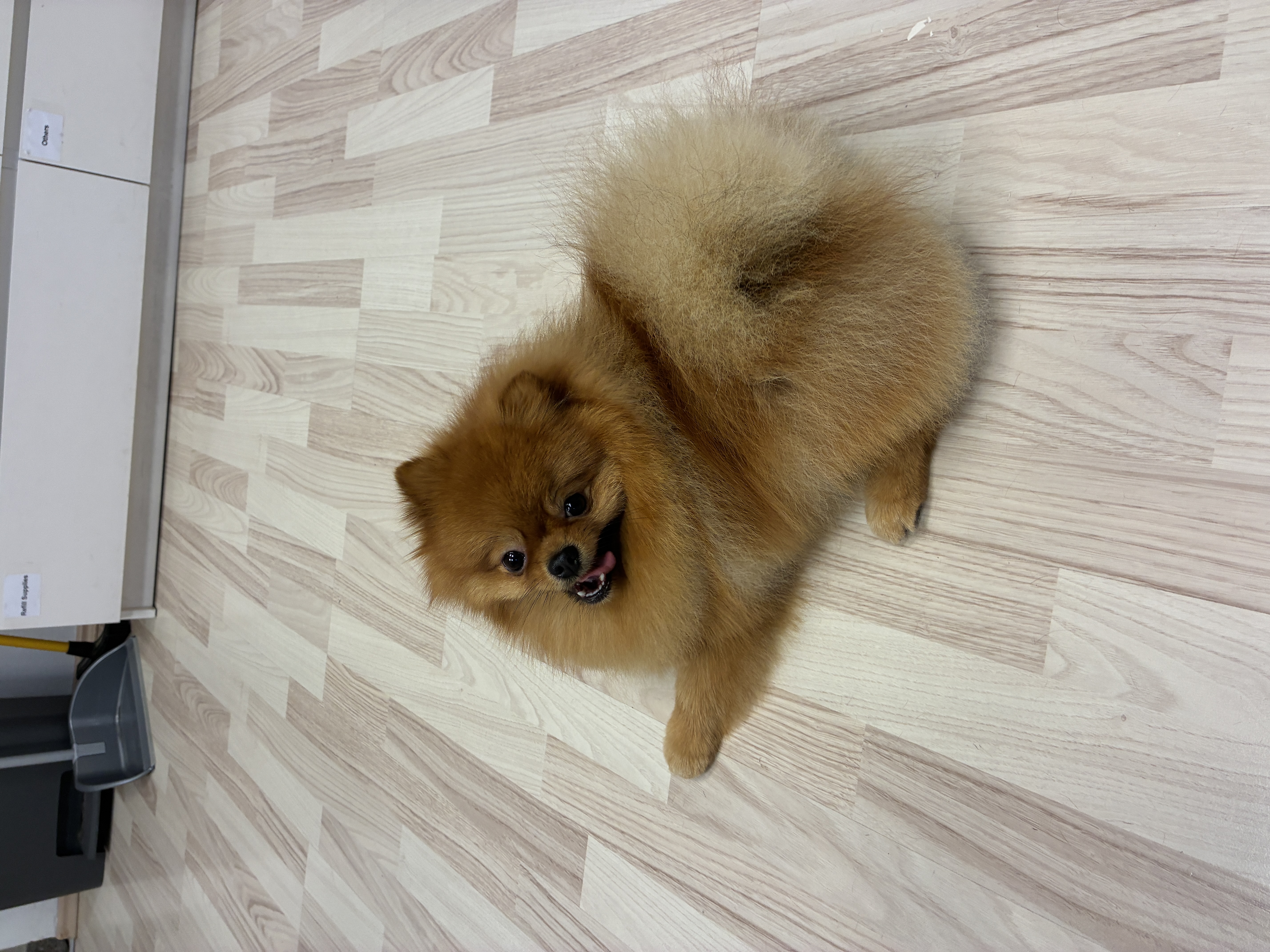 image-6