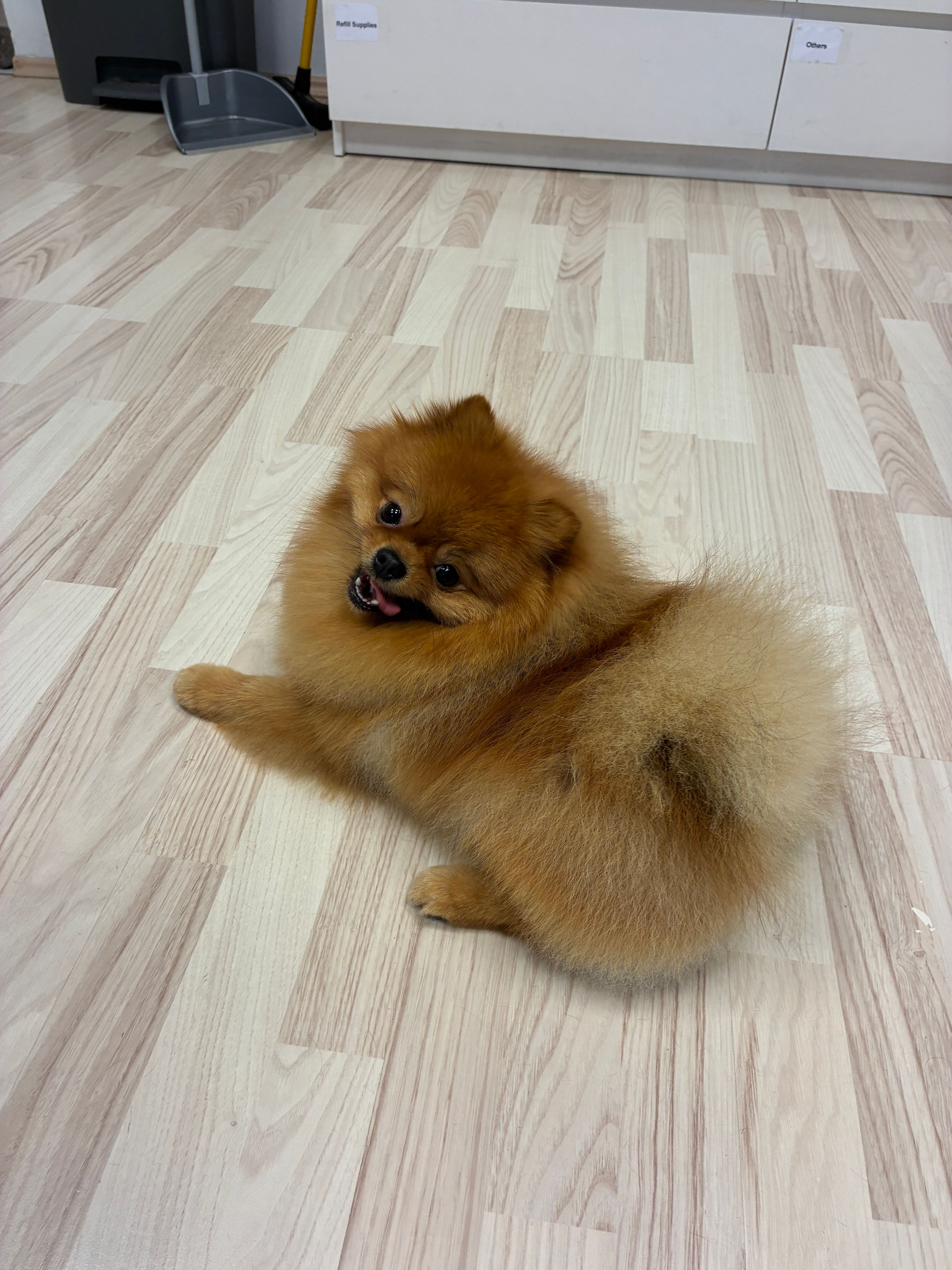 image-6