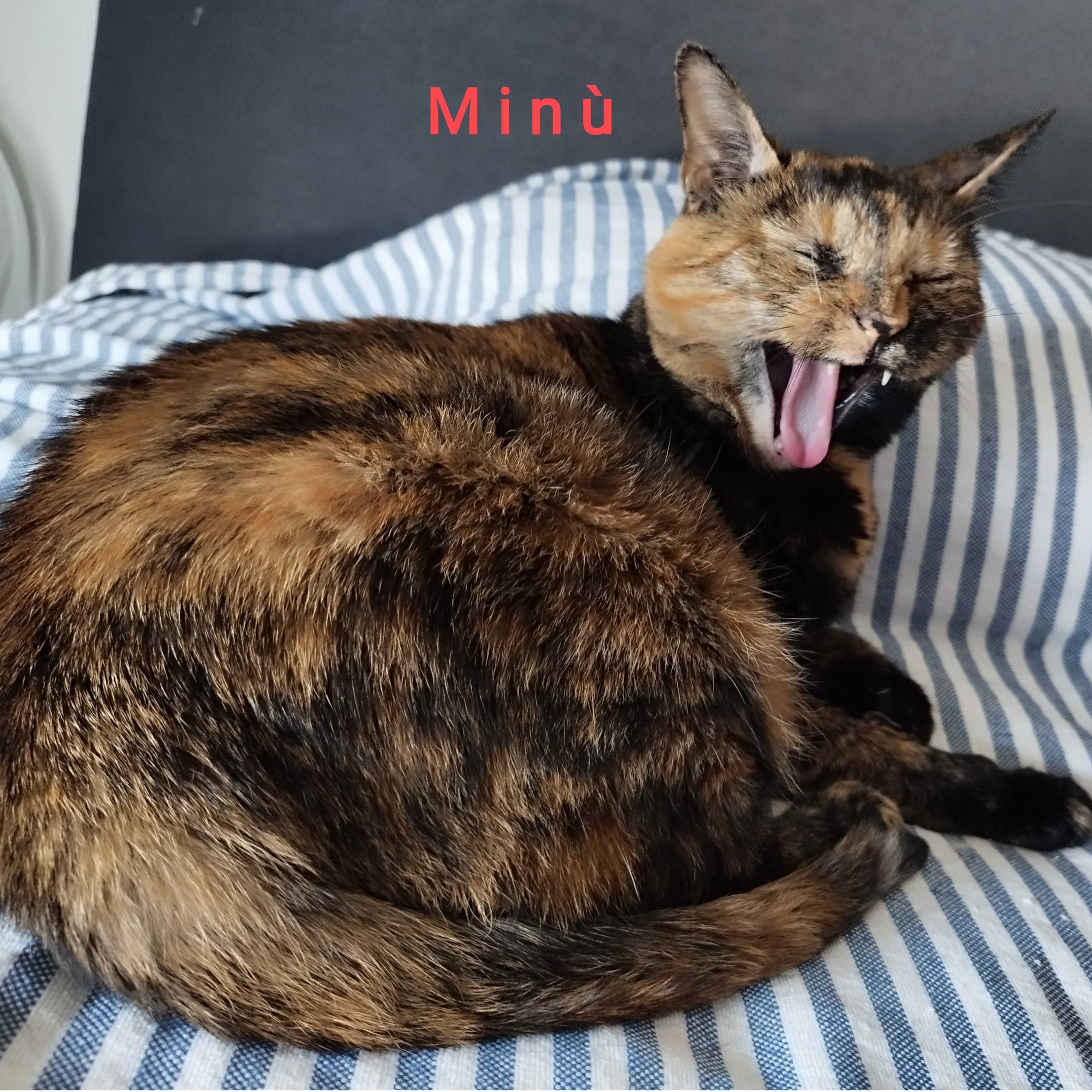 Minù