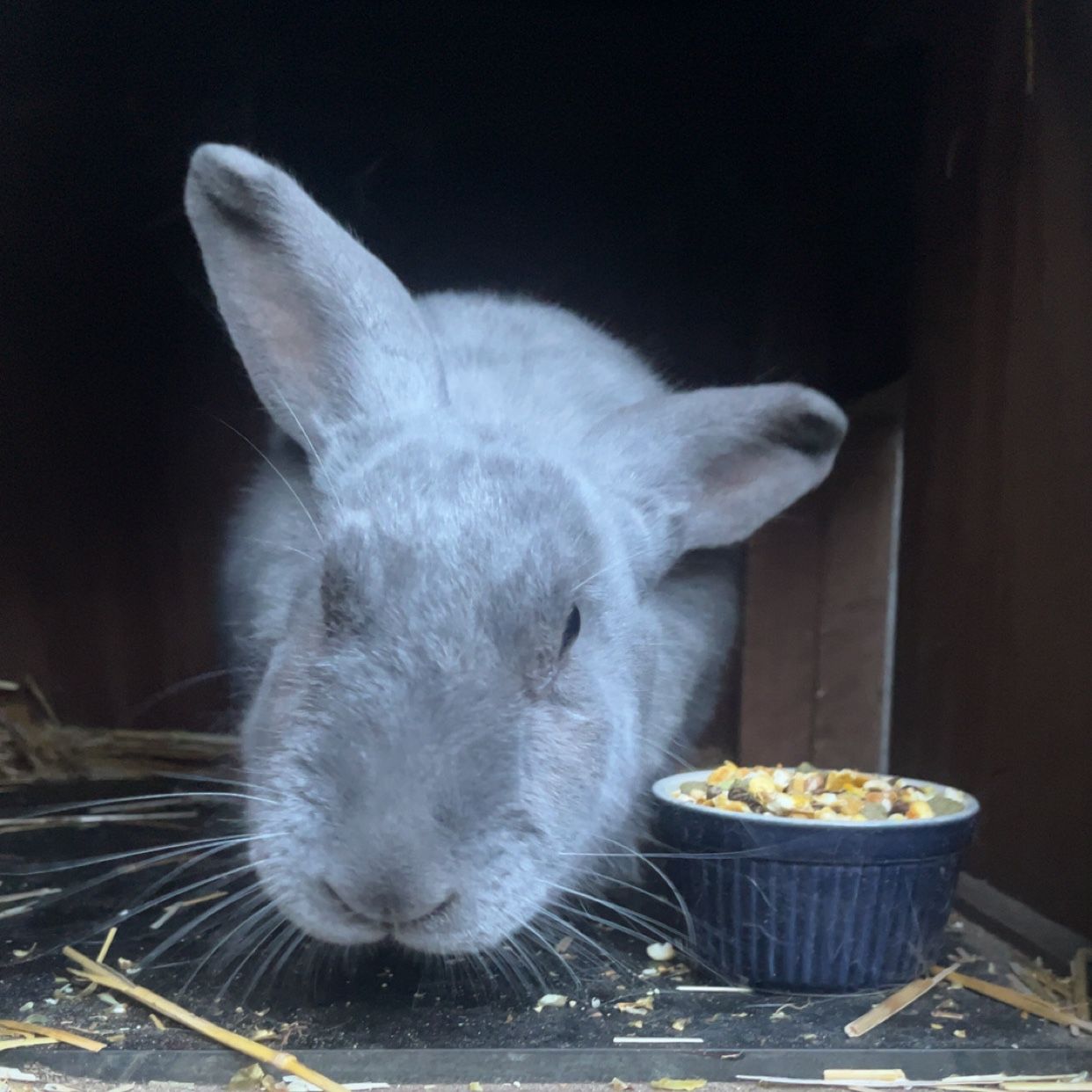 Stampertje