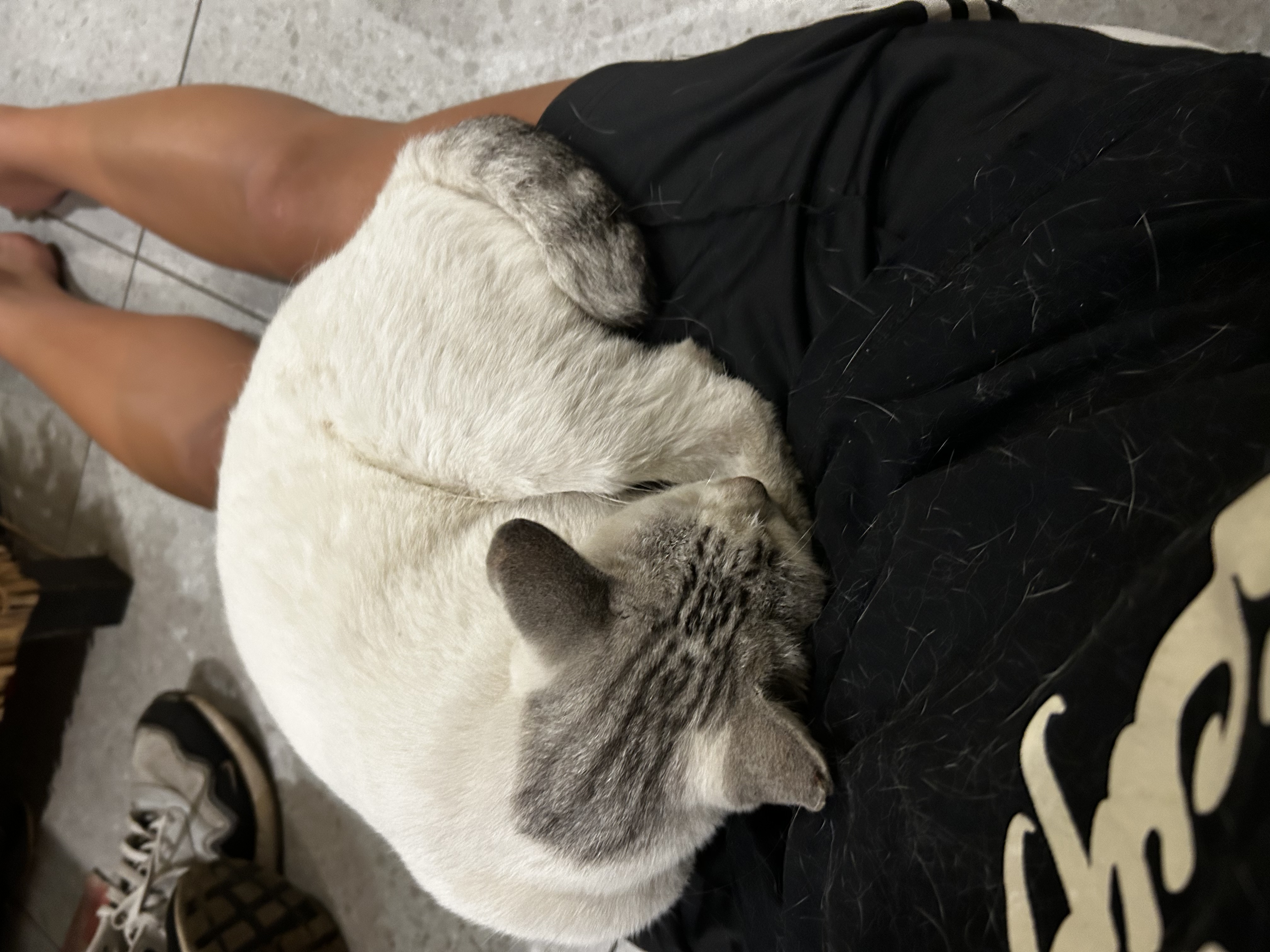image-11