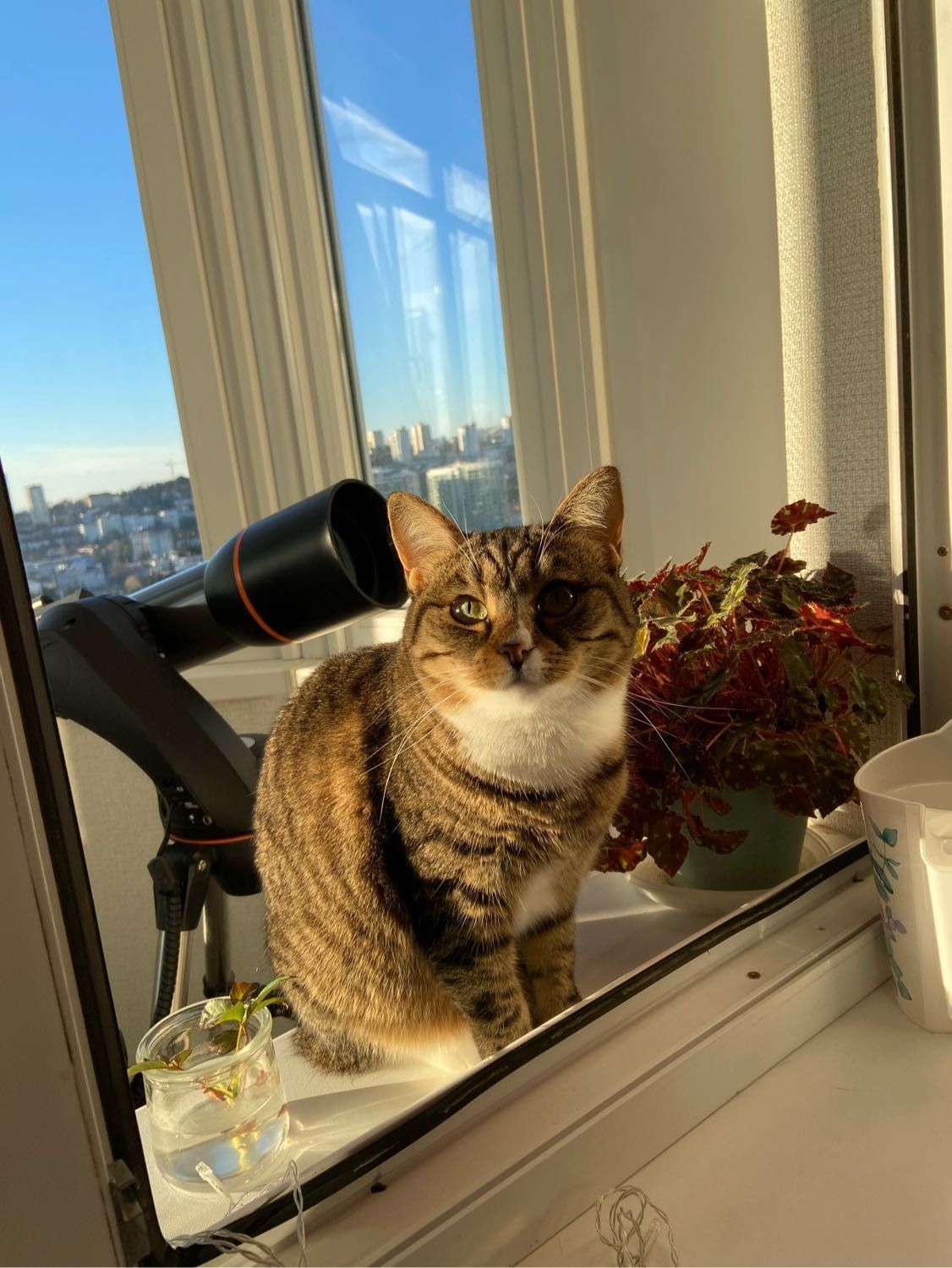 image-8