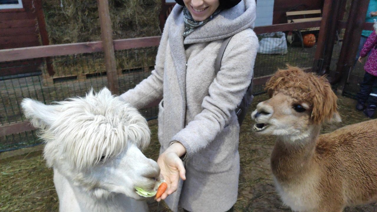 image-9