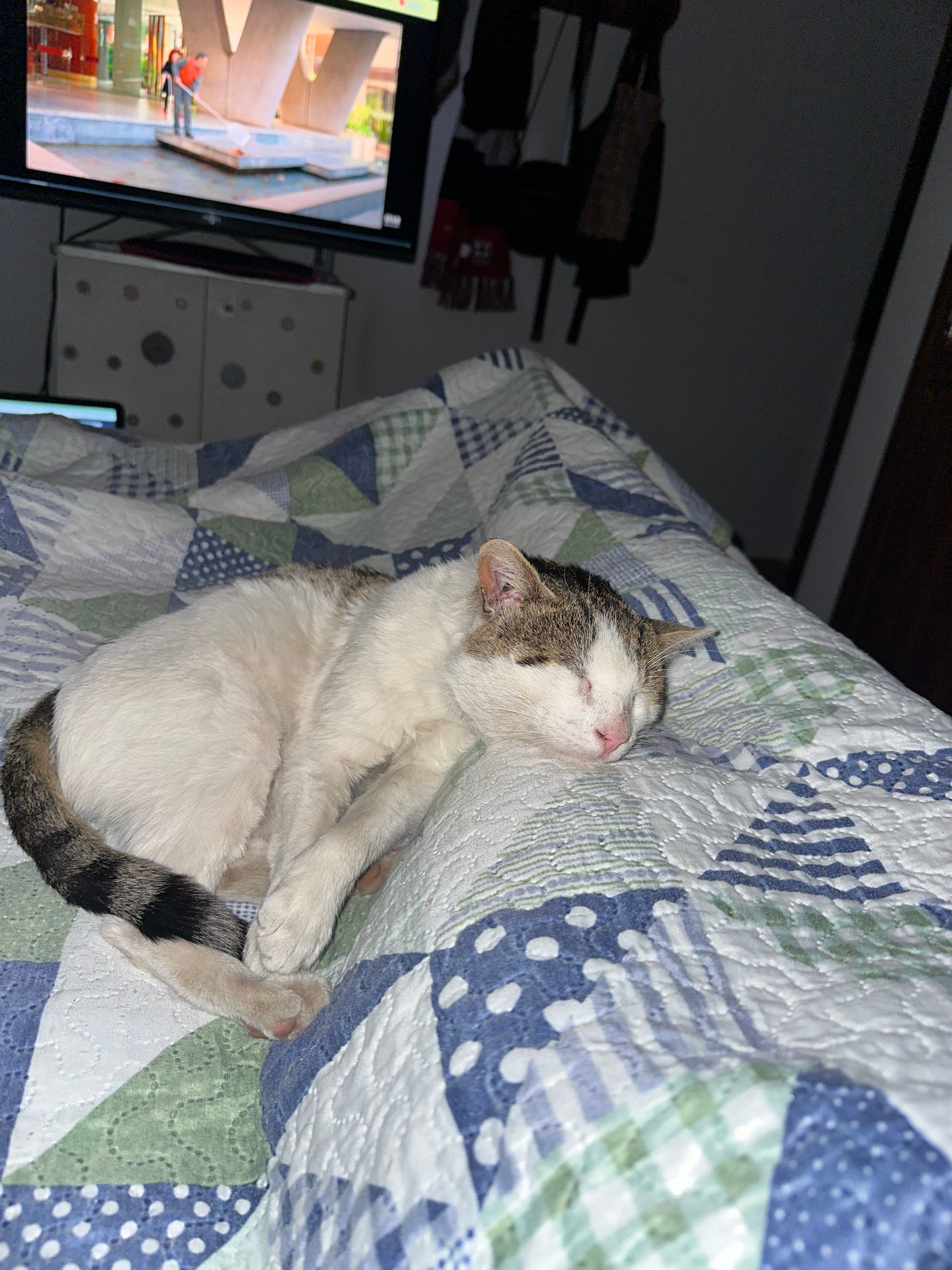 image-5
