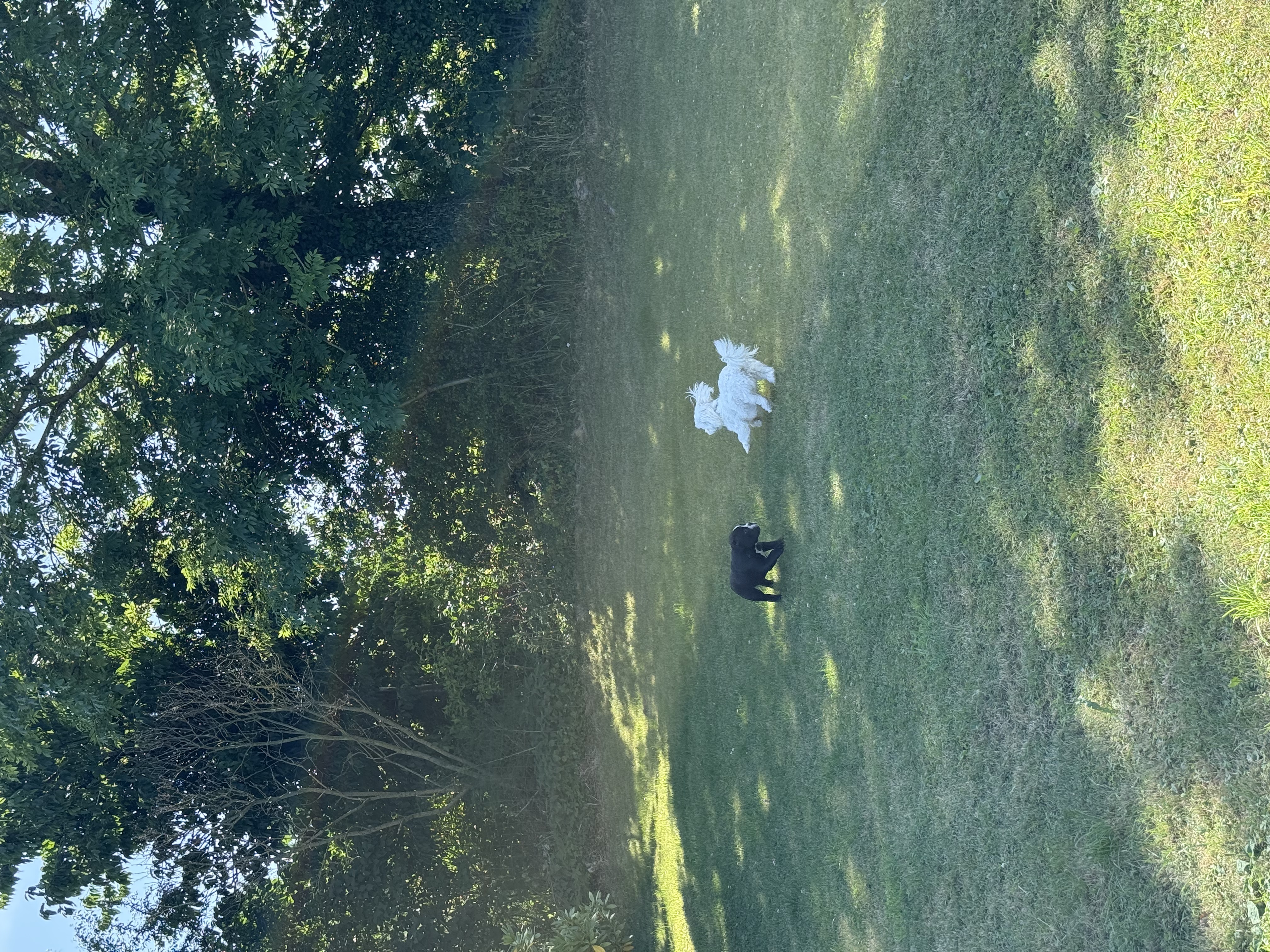 image-18