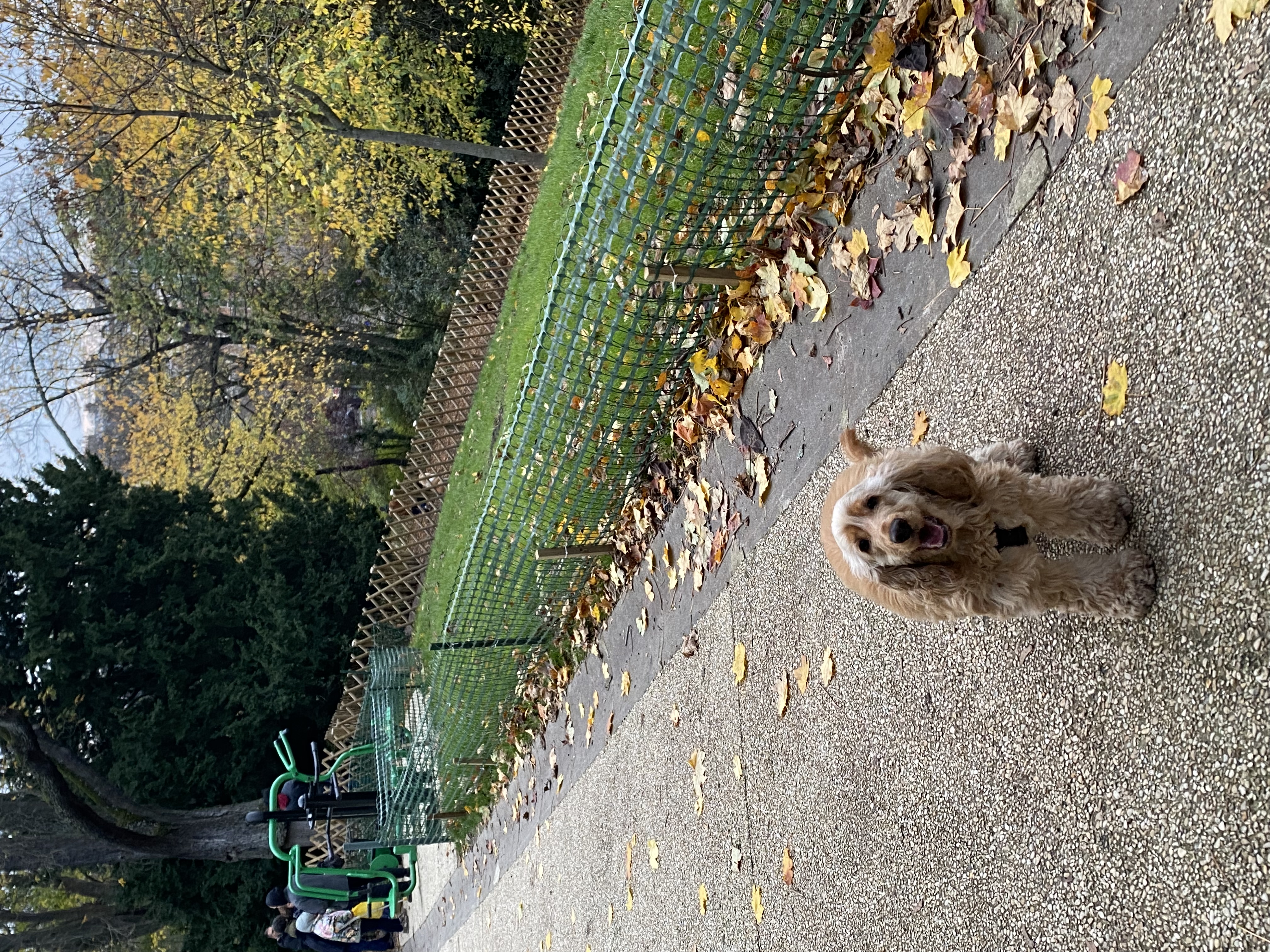 image-5
