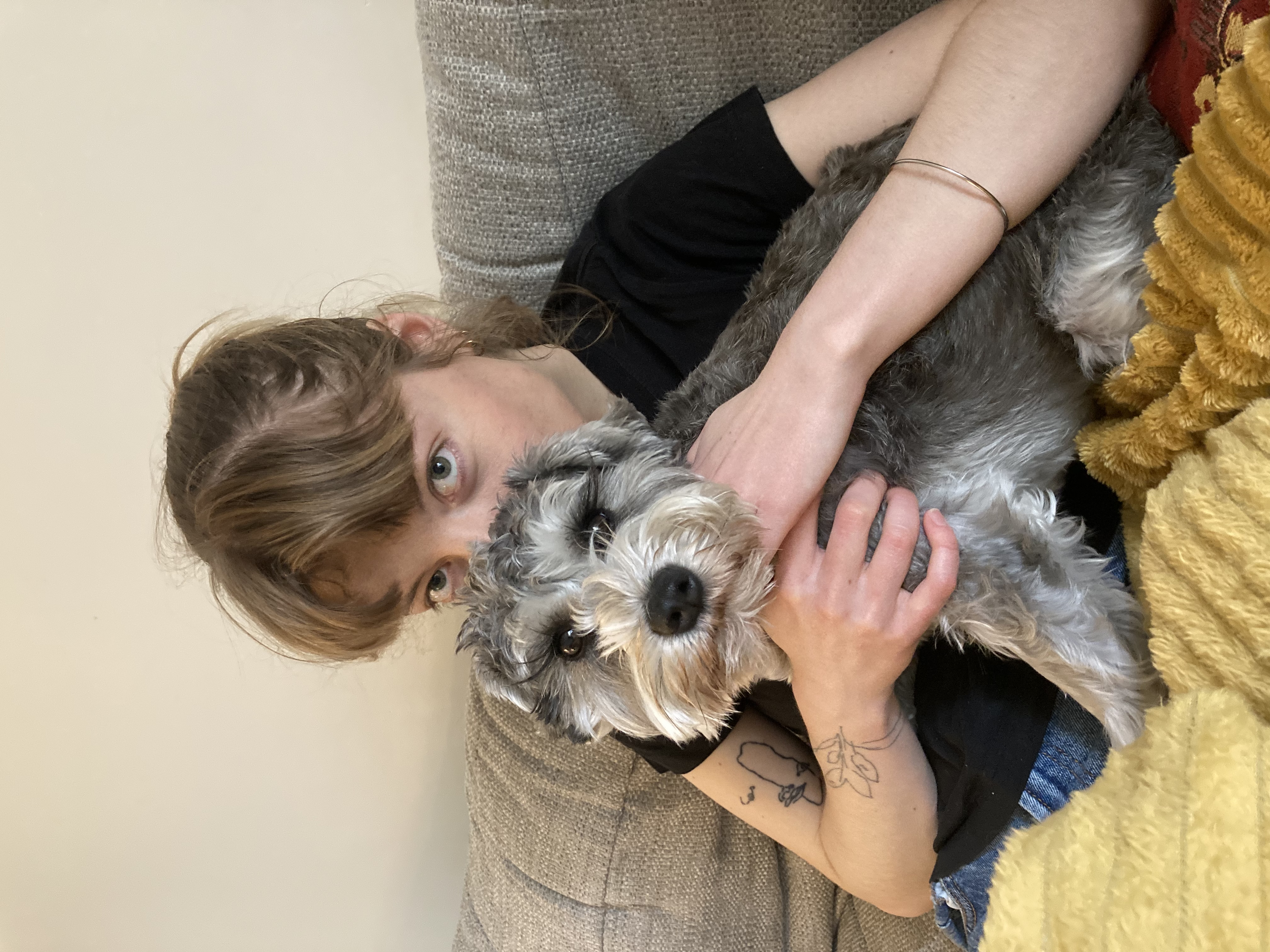 image-2