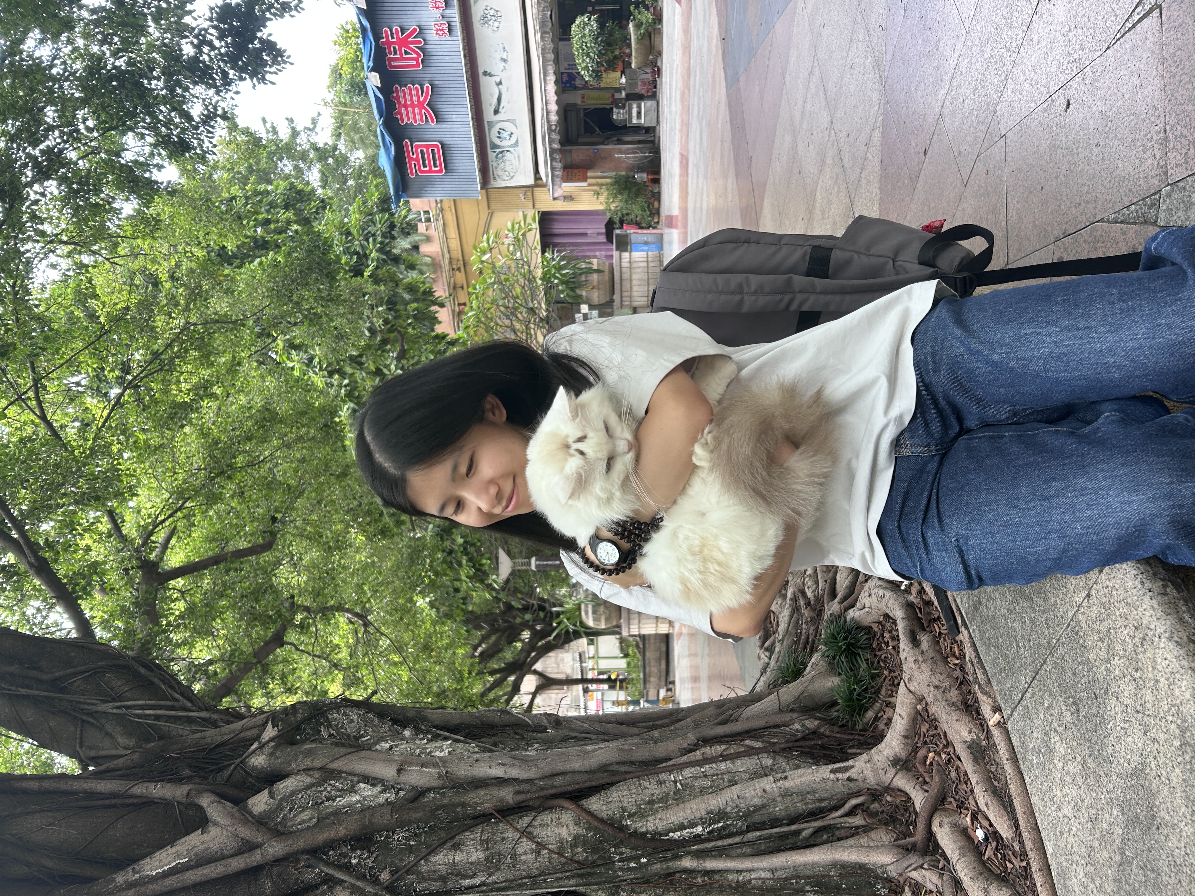 image-4