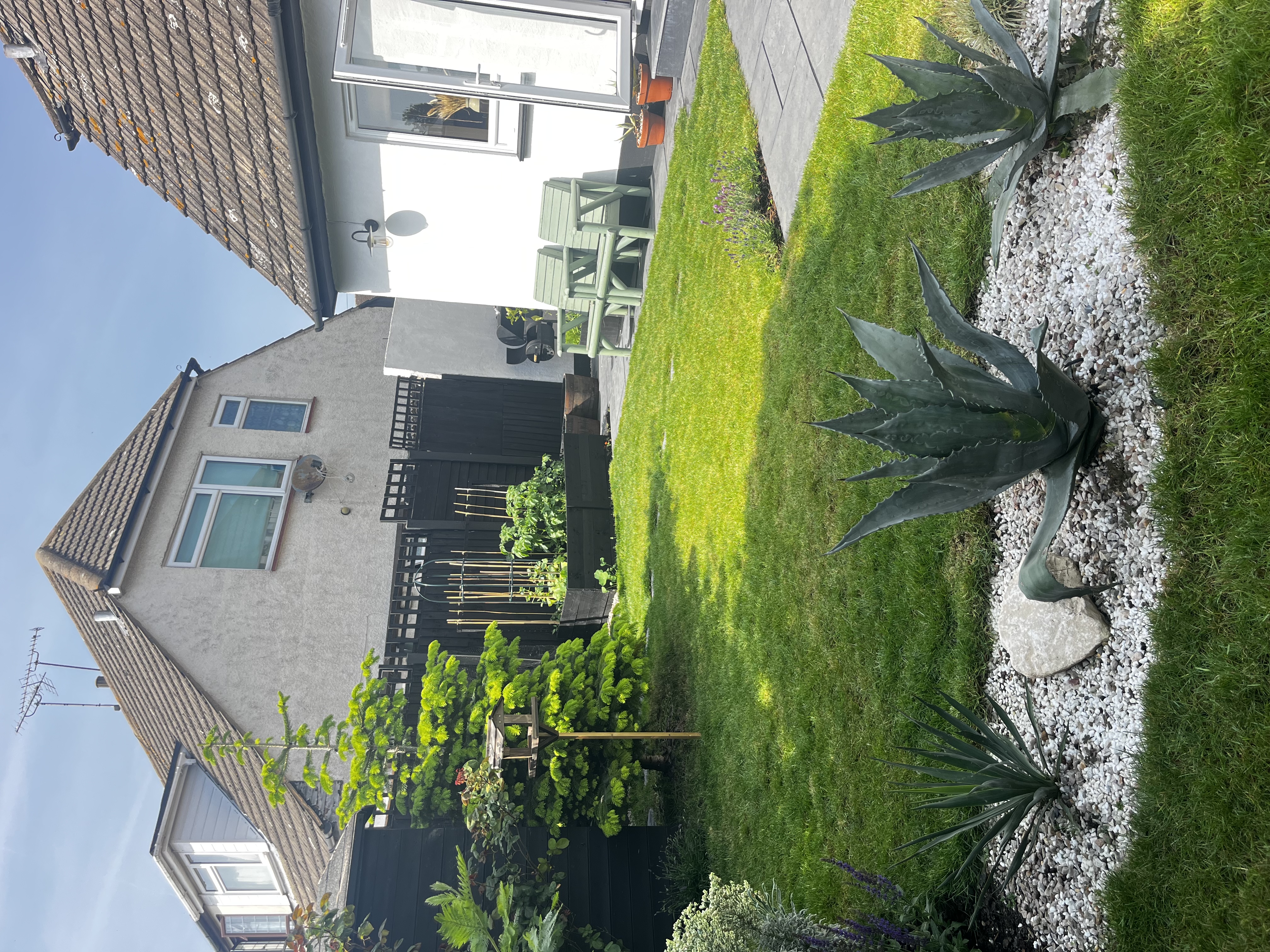 image-21
