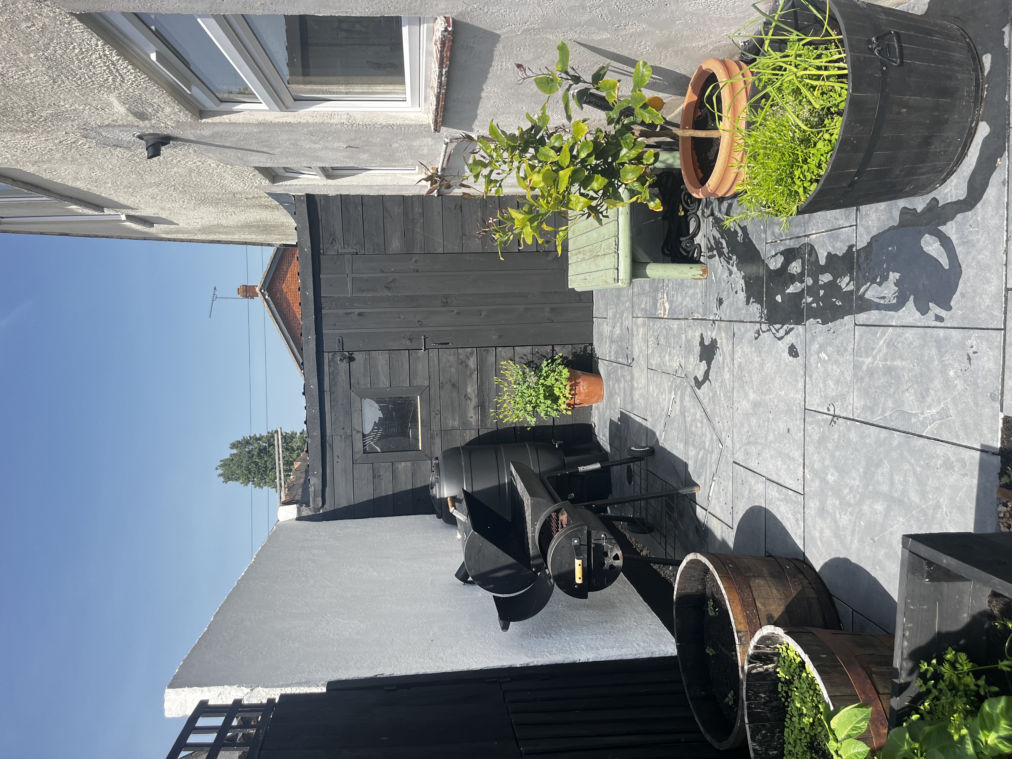 image-20