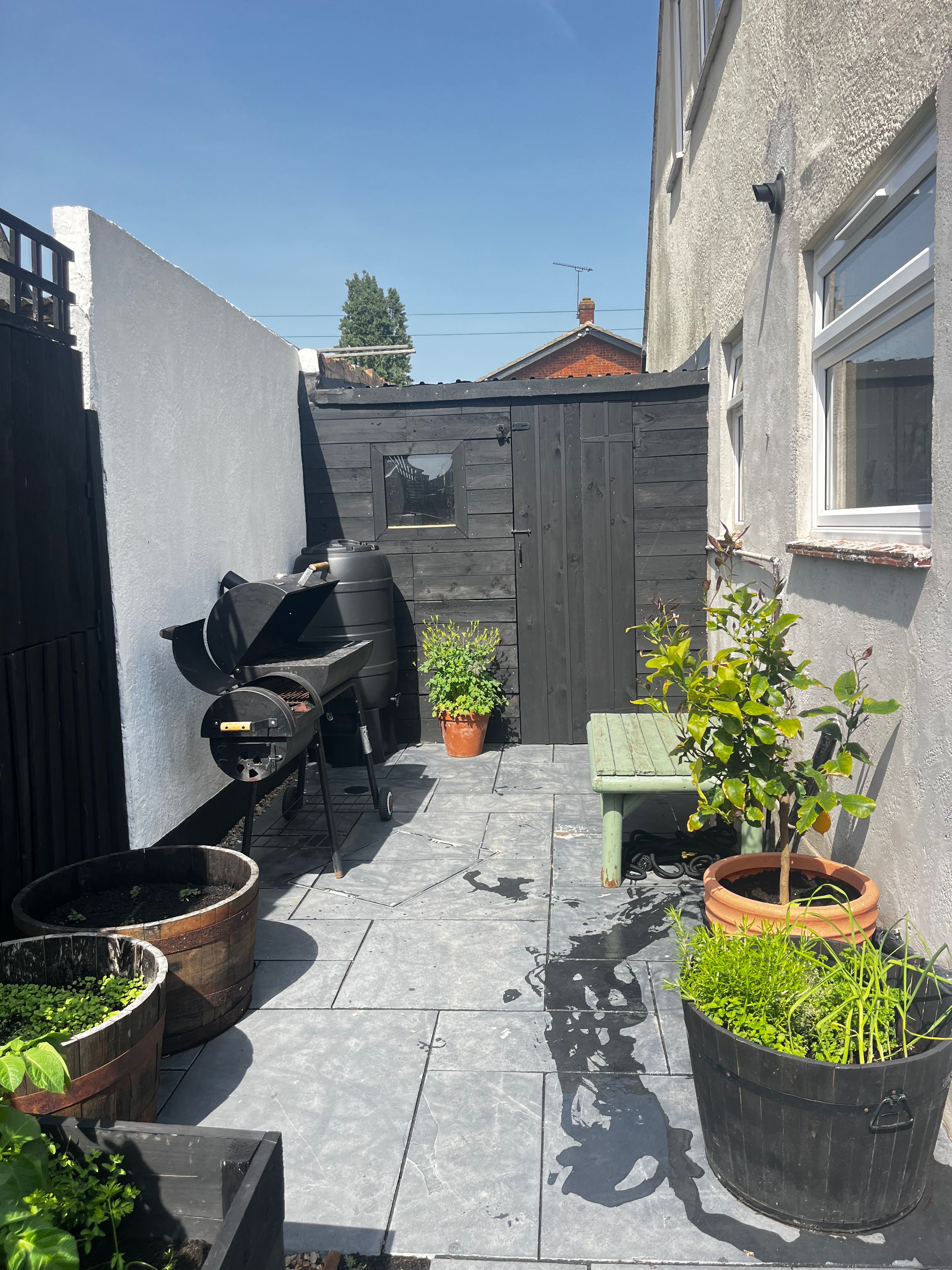 image-20