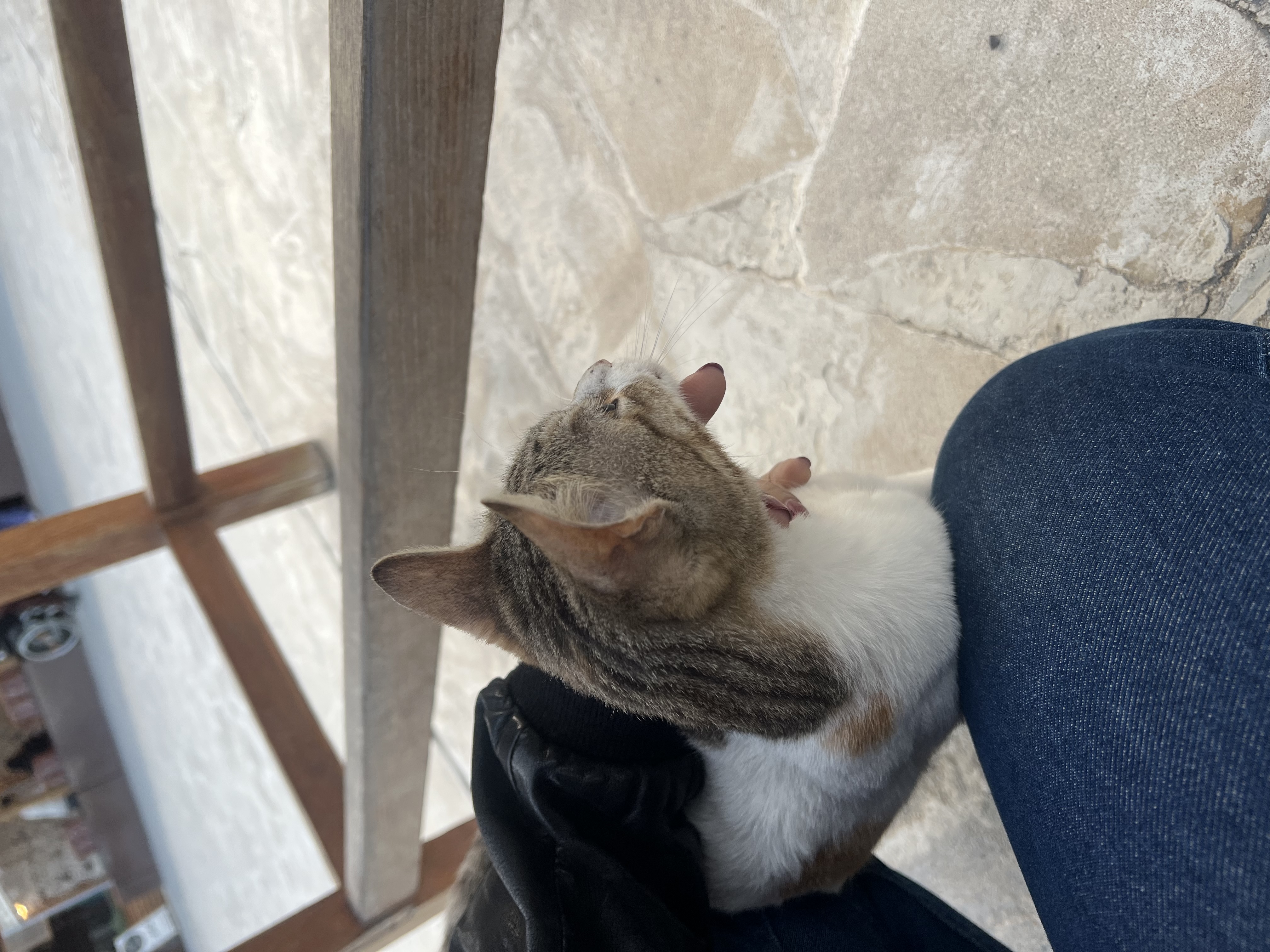 image-8