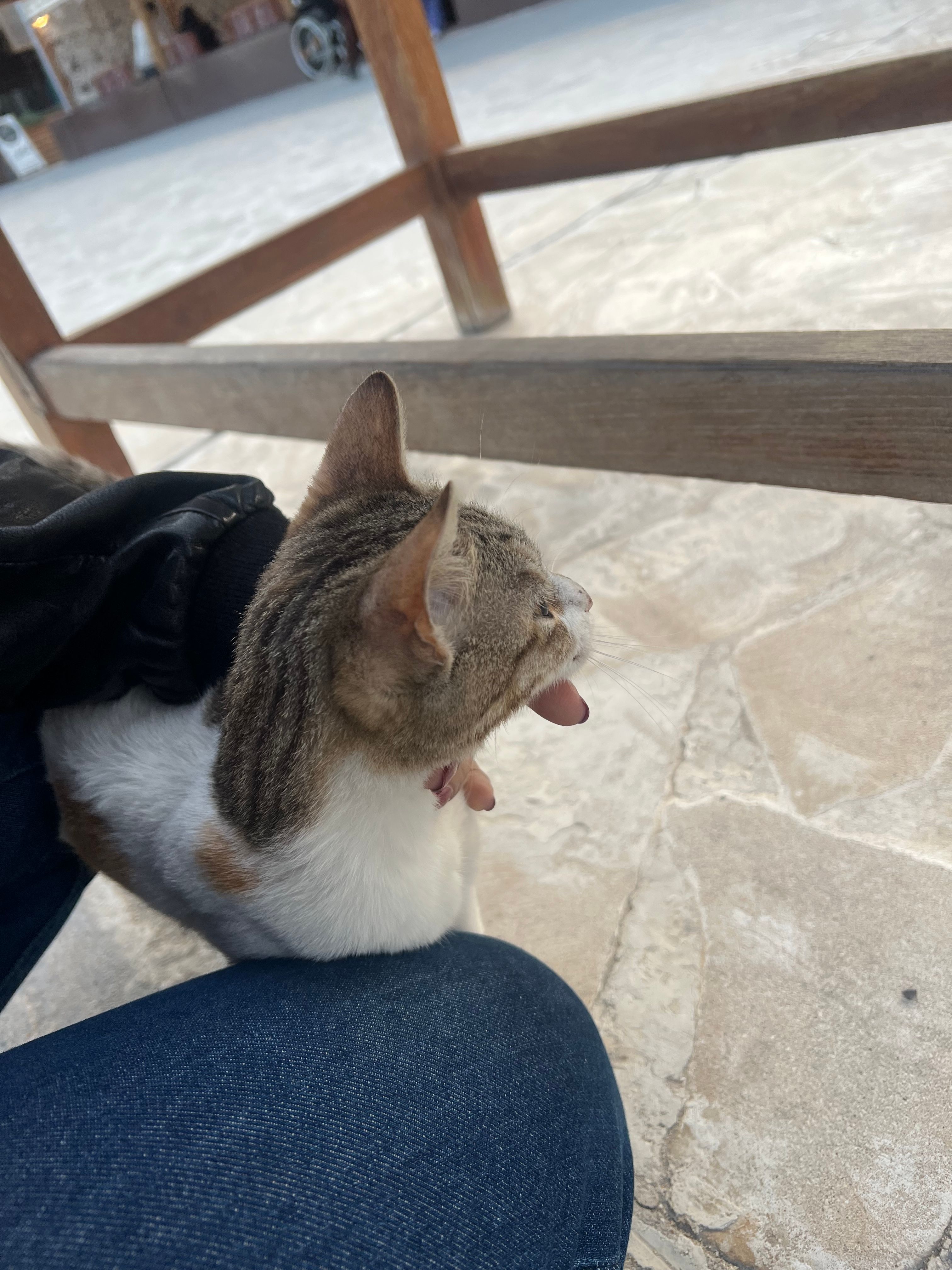 image-8
