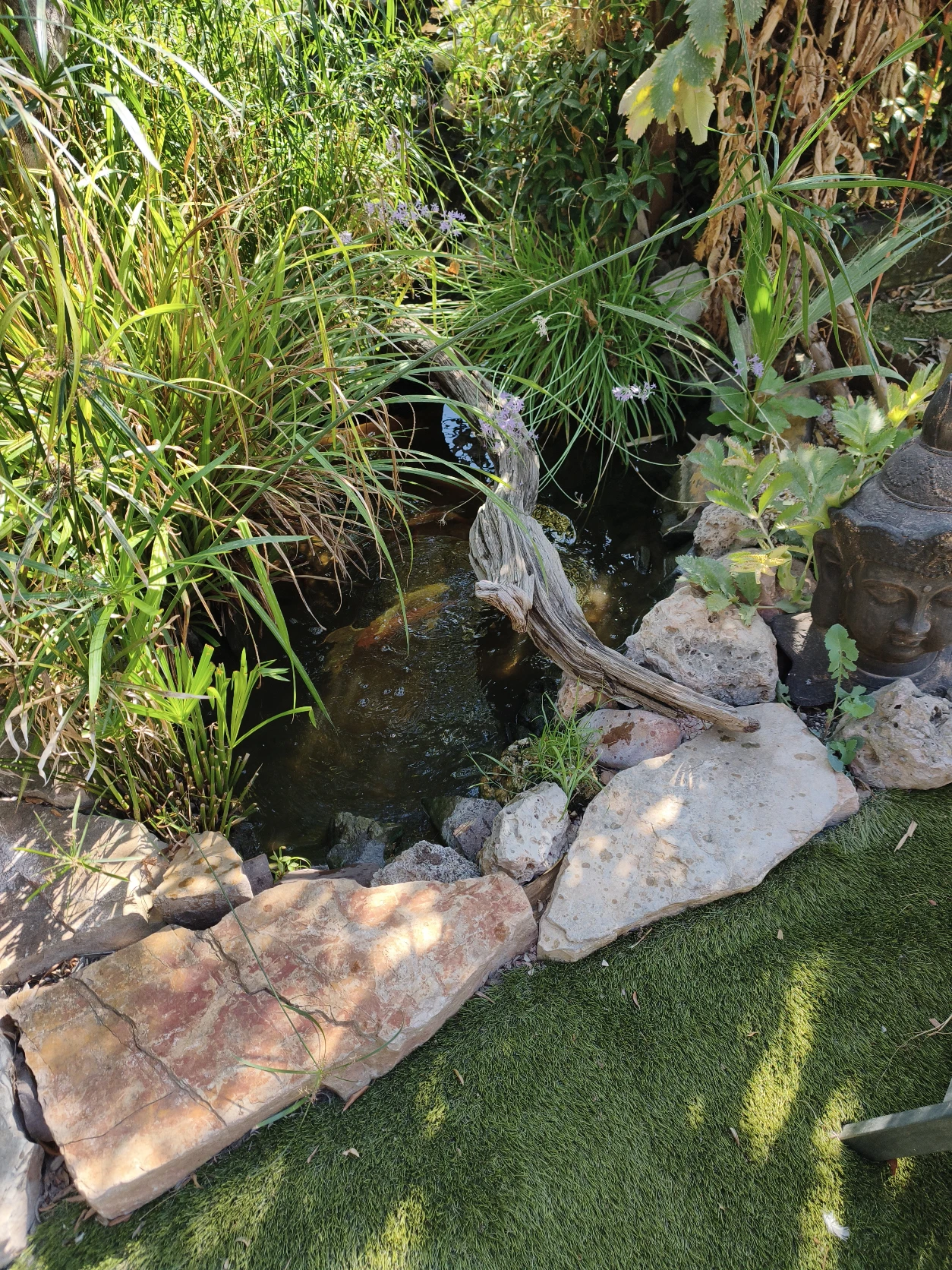 image-16