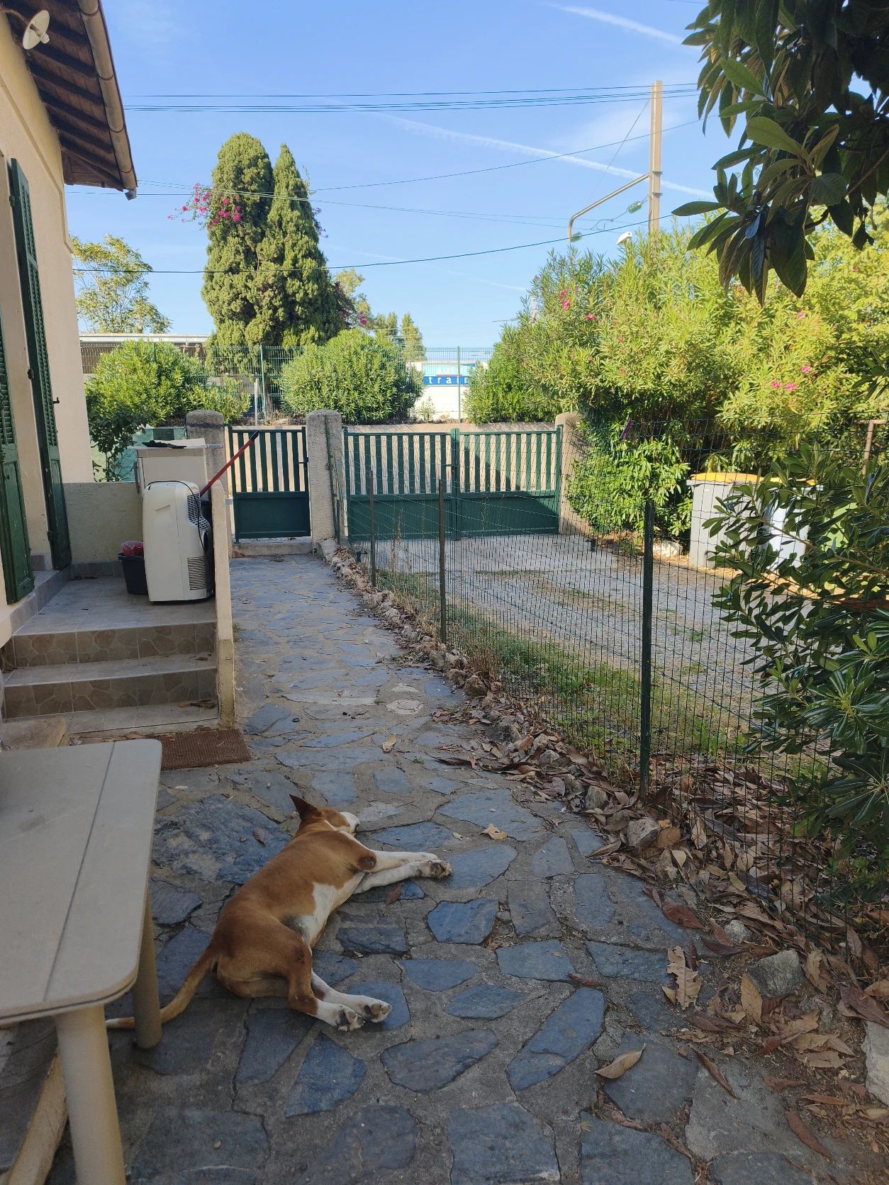image-19