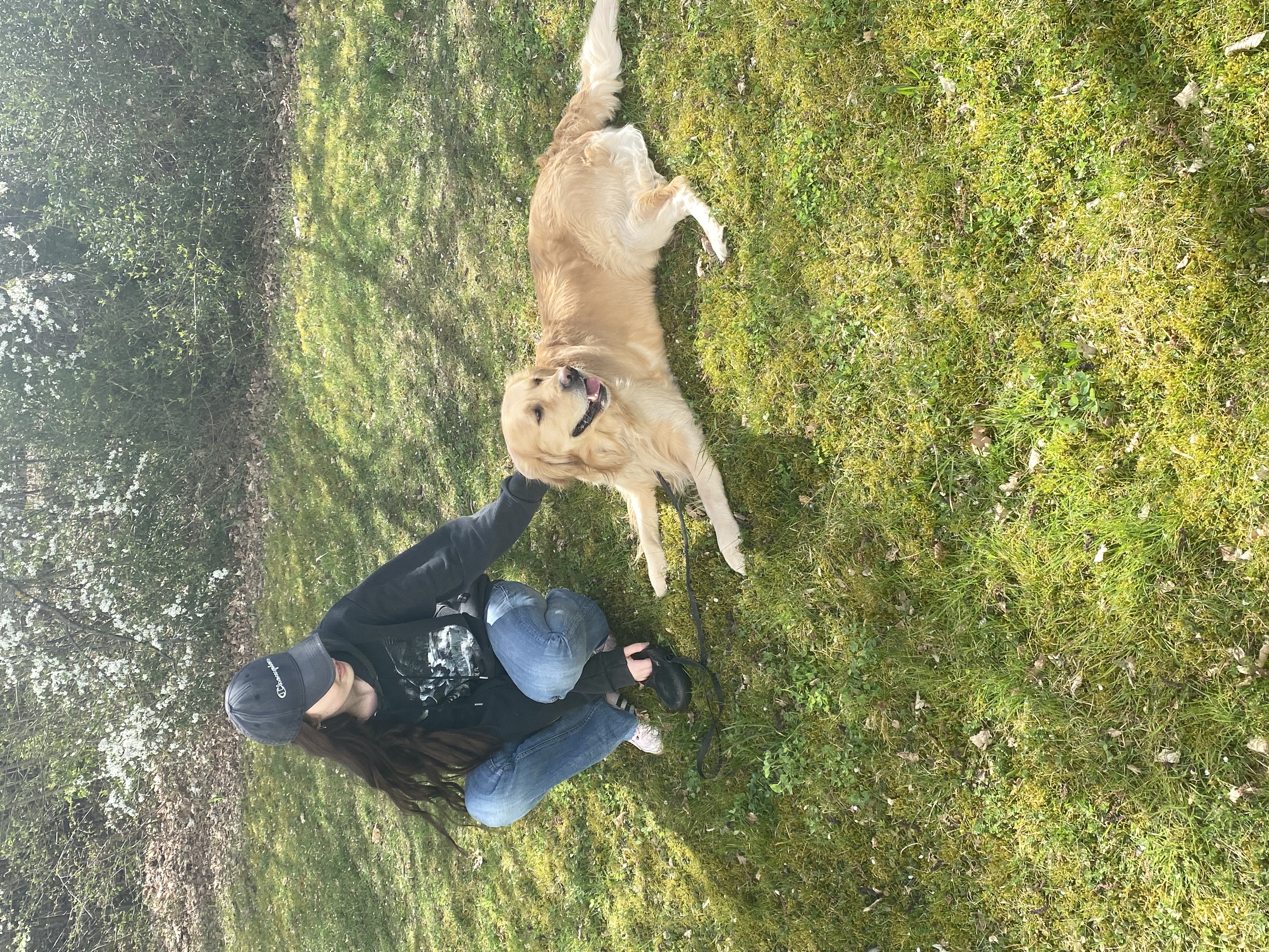 image-3