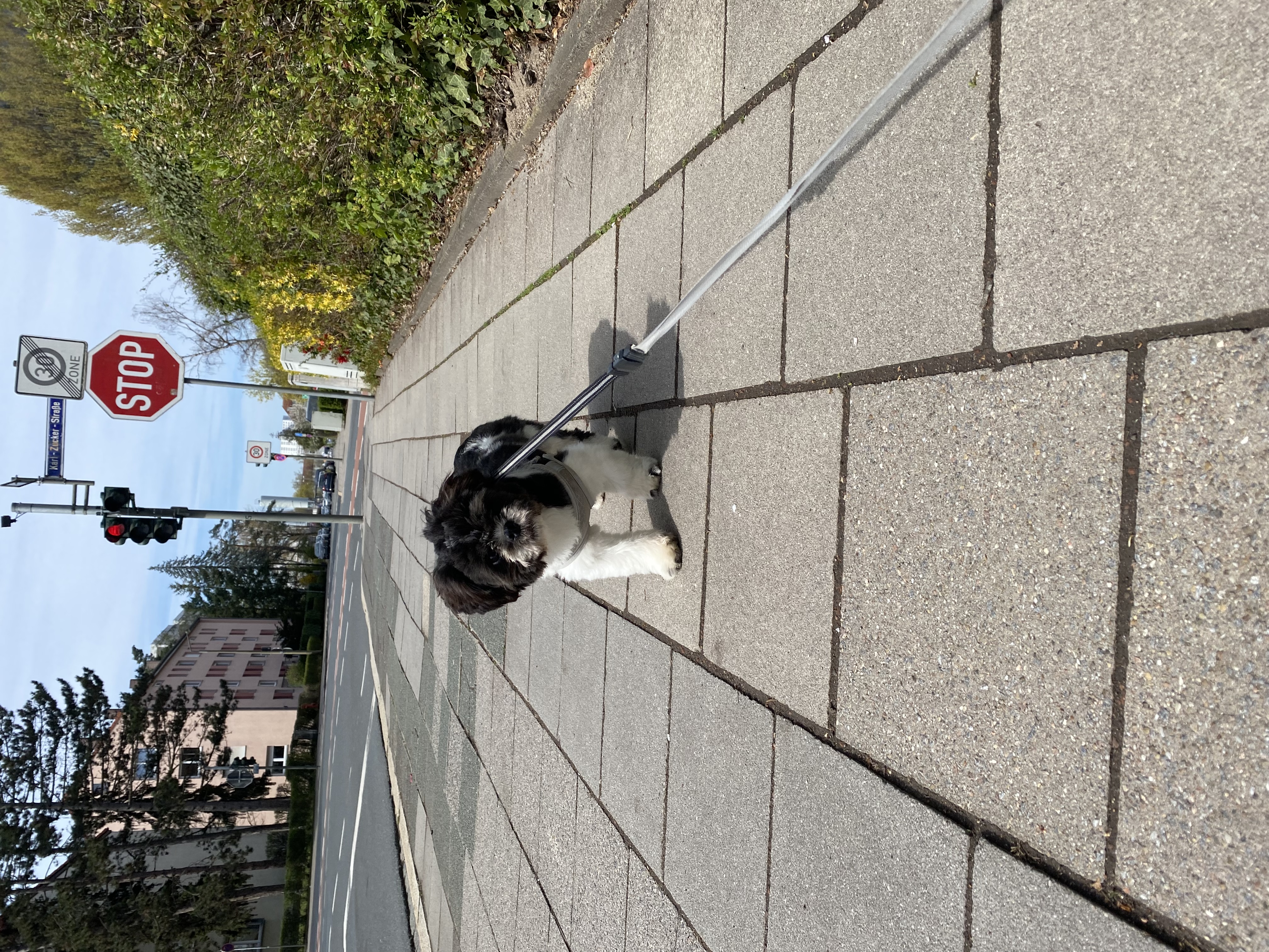 image-25