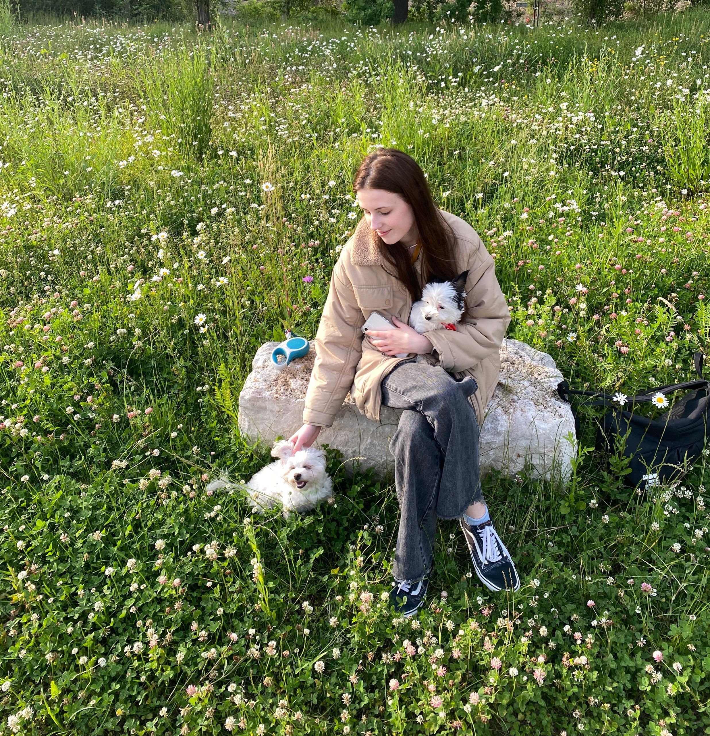 image-6
