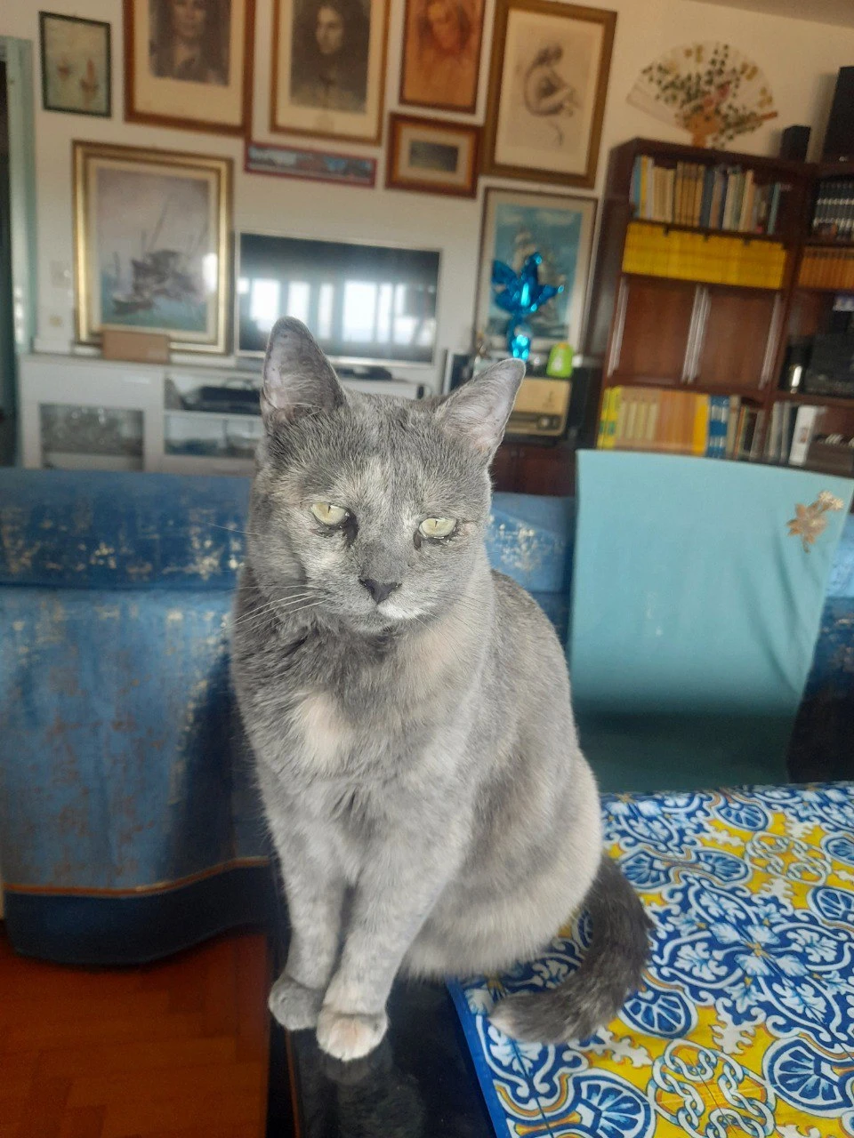 image-10