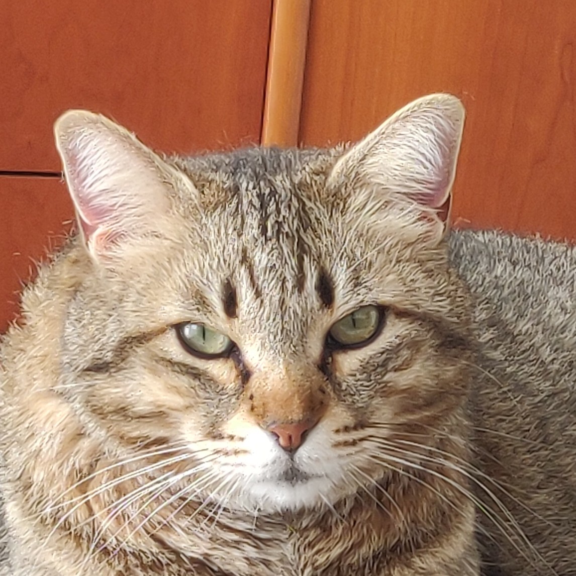 Markus
