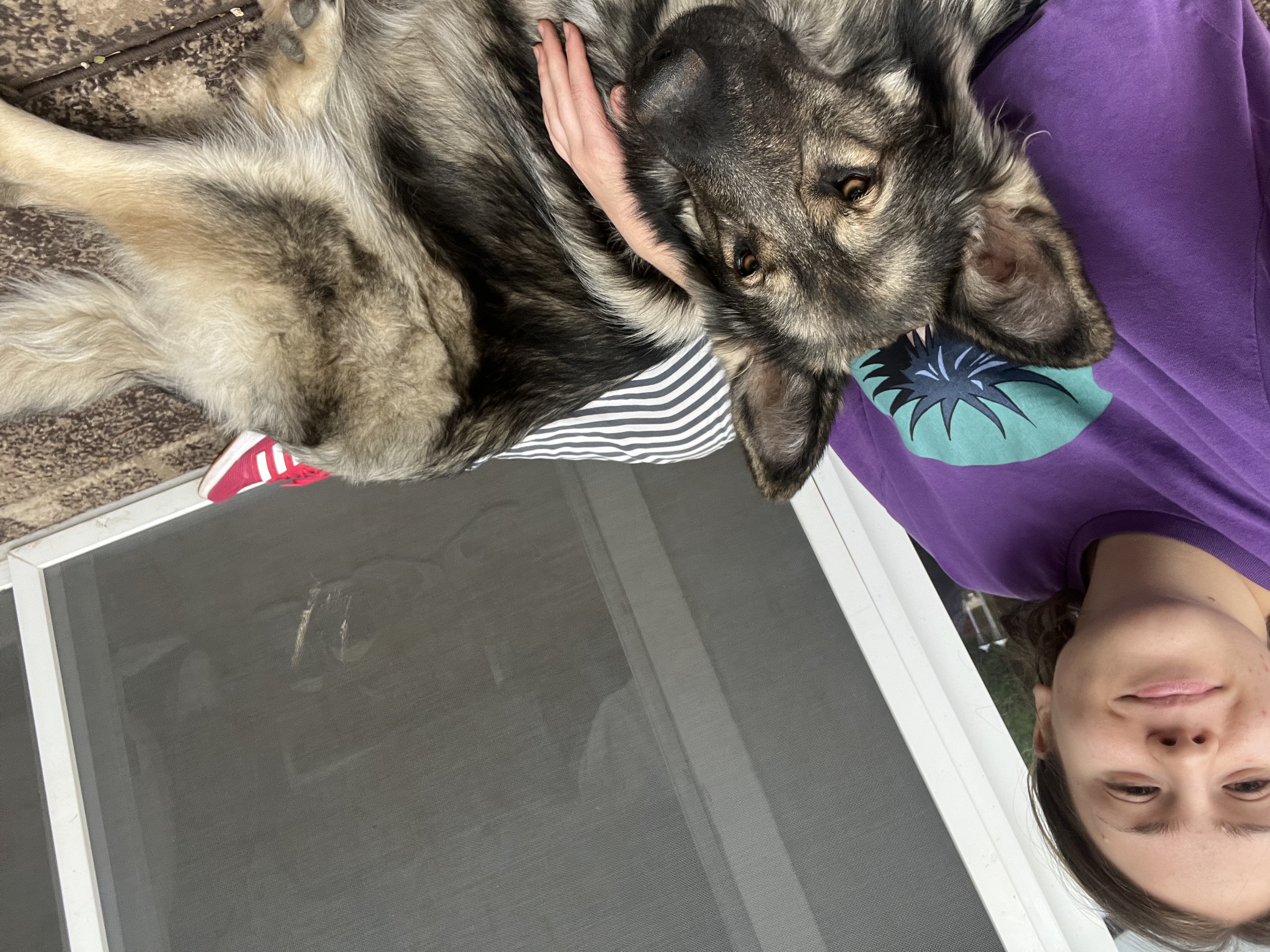 image-8