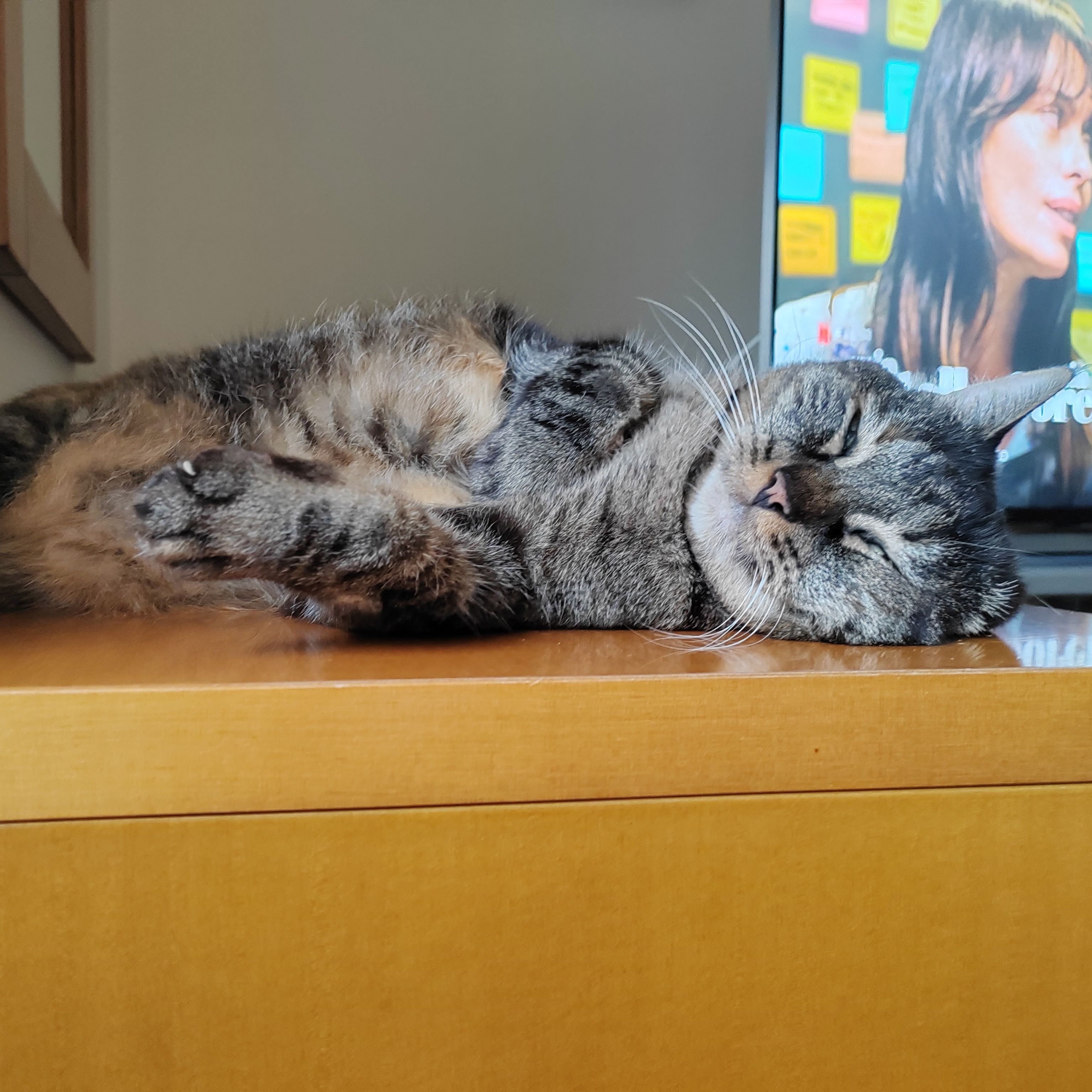 Maya