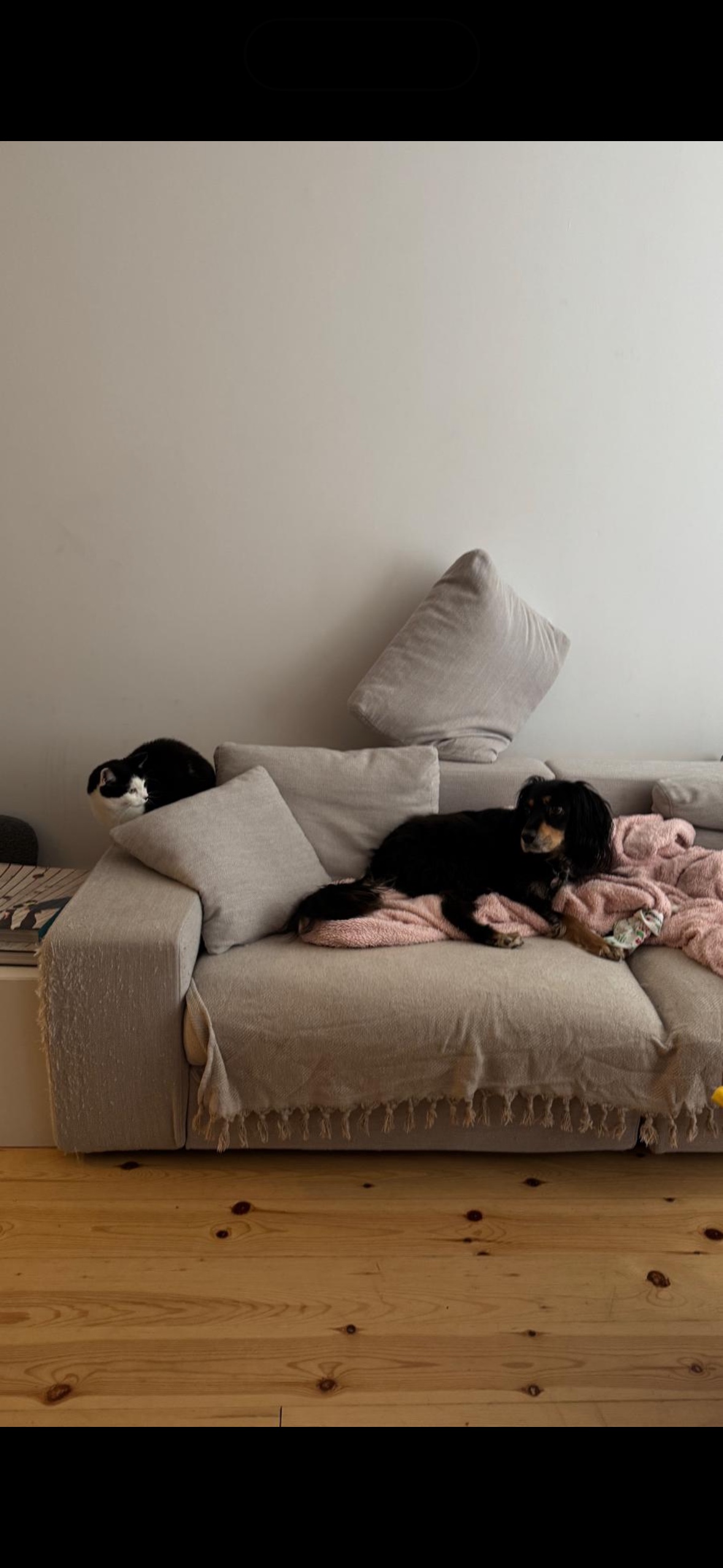 image-18