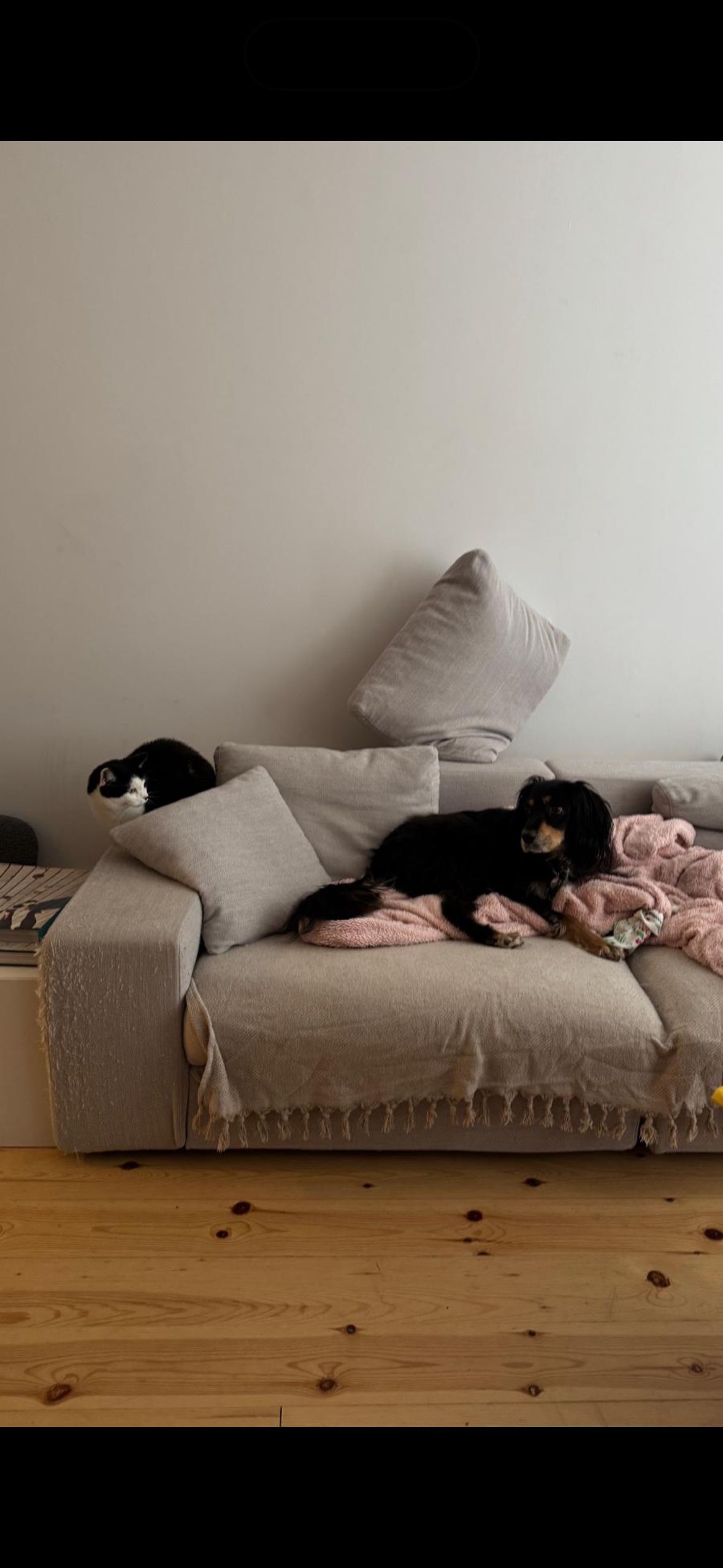 image-18