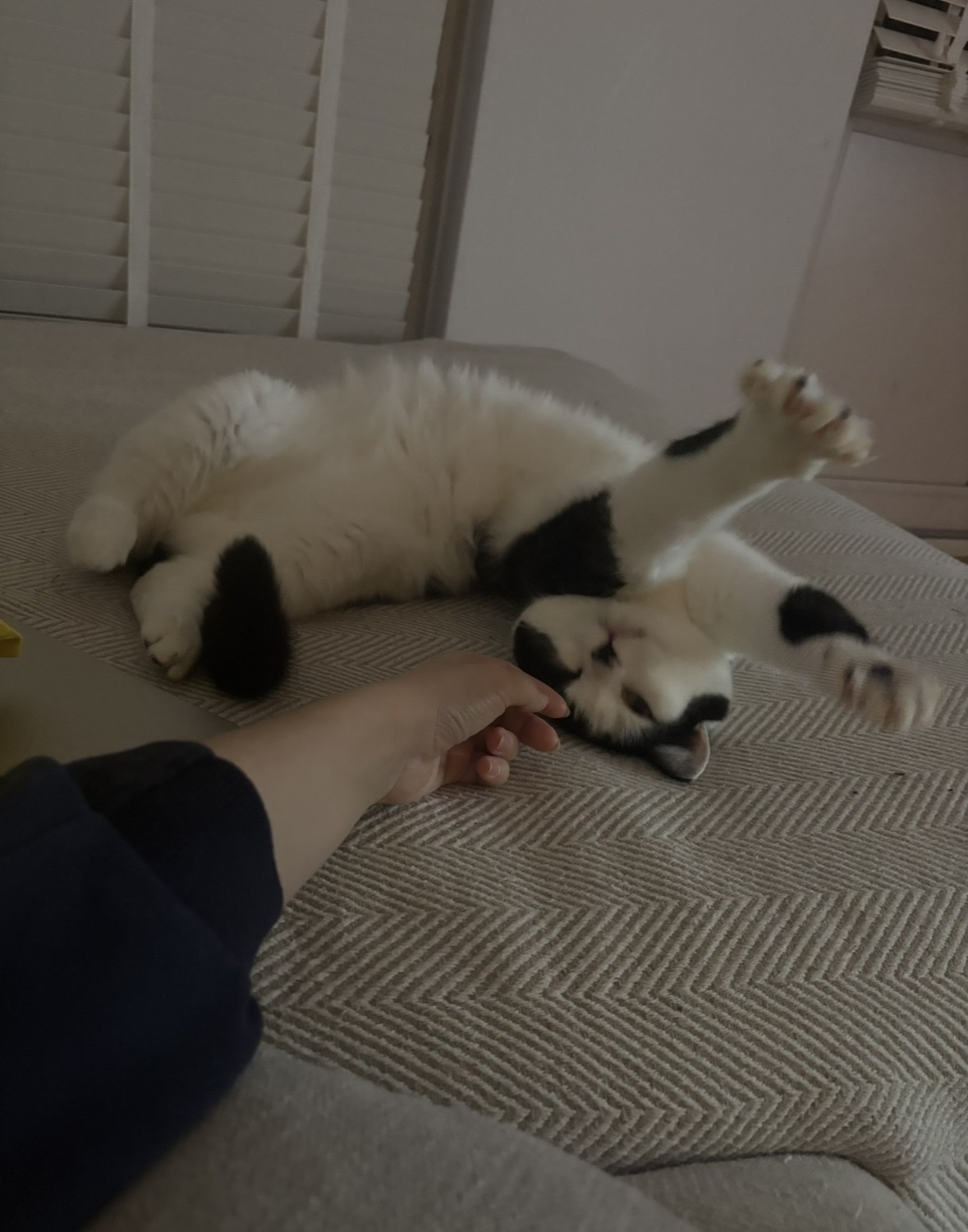 image-13