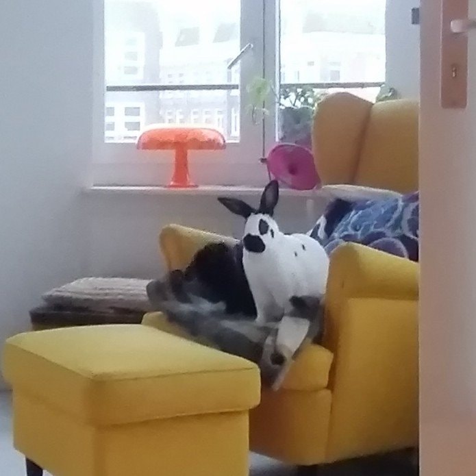 Sam