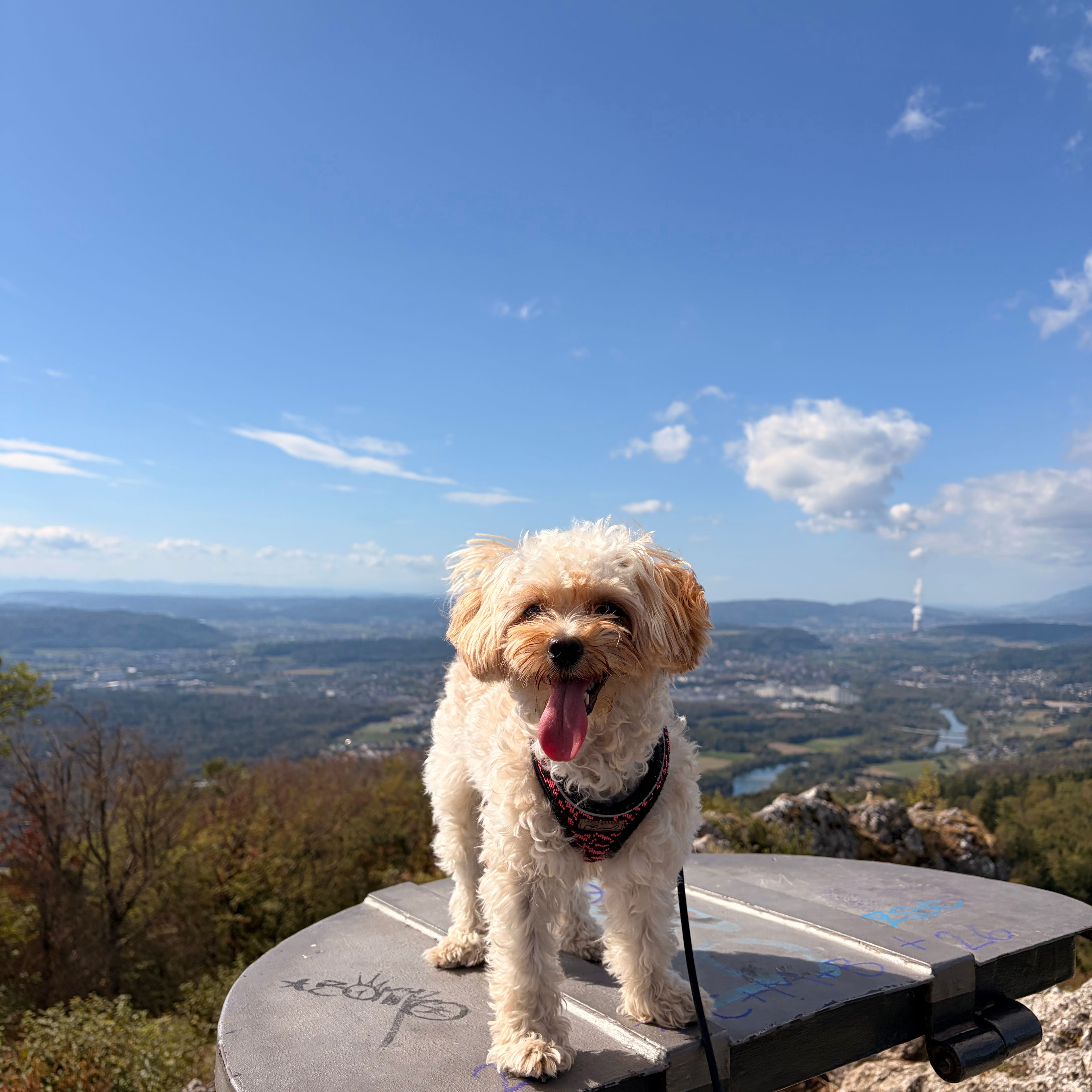 Luna