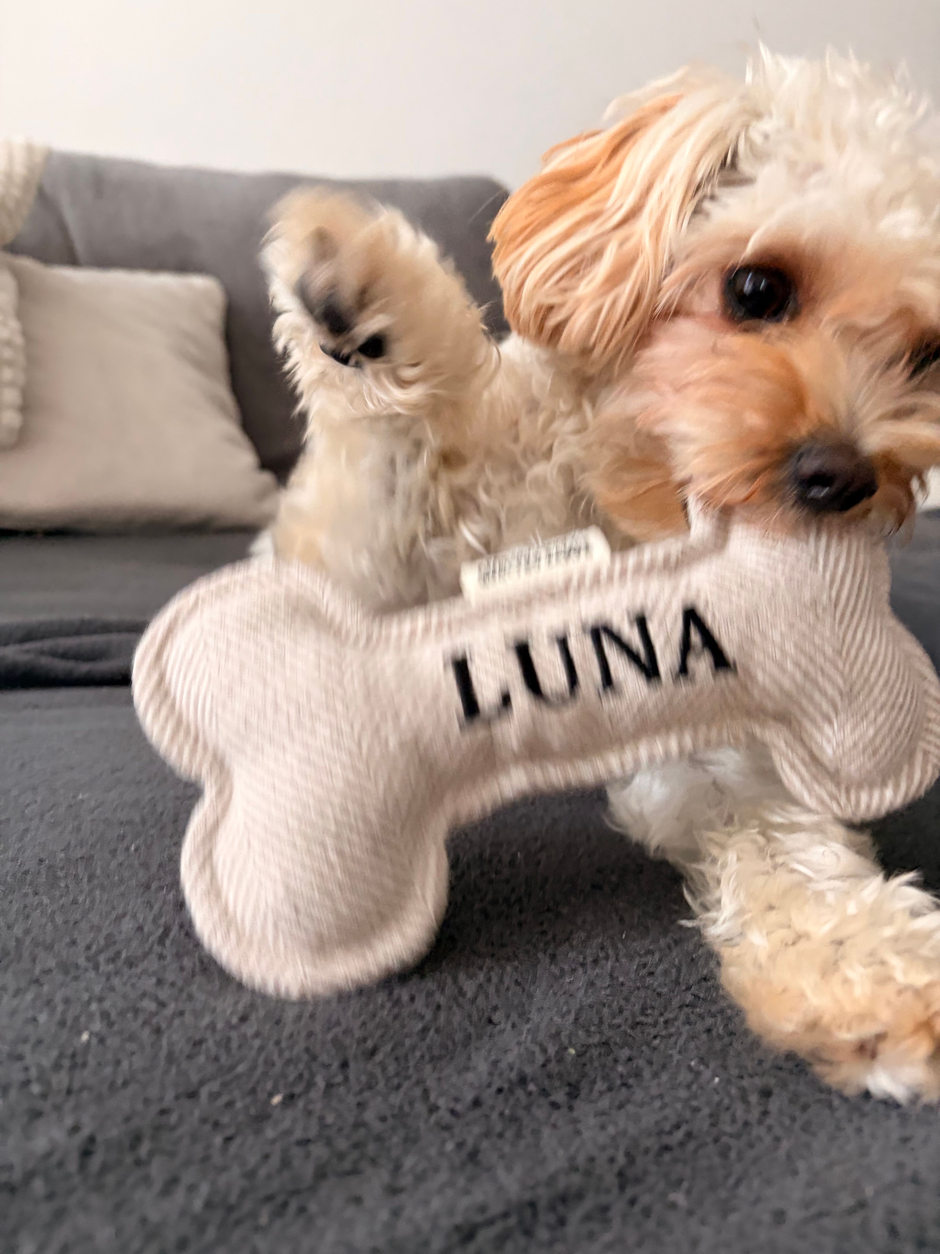 image-5