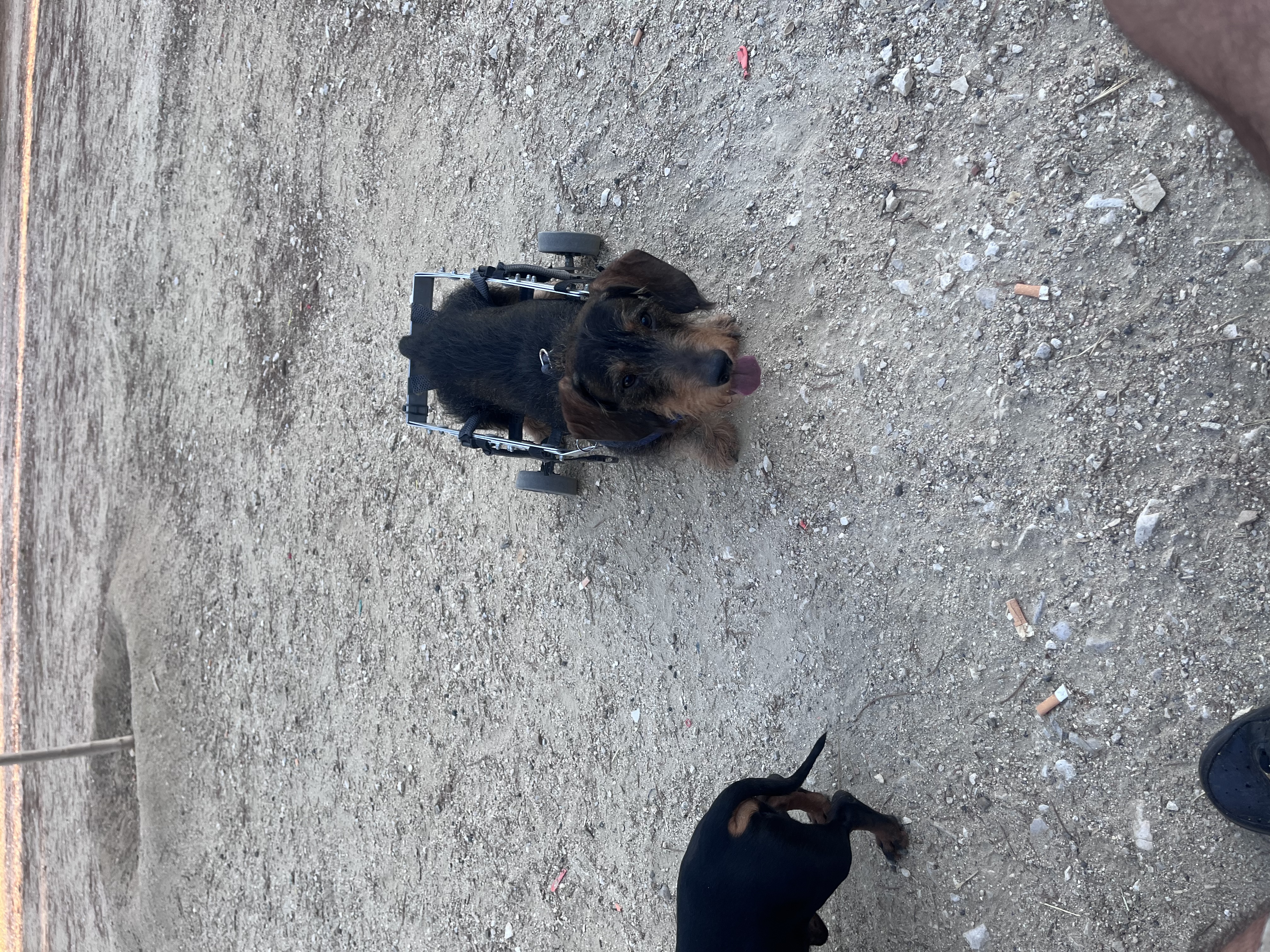 image-4