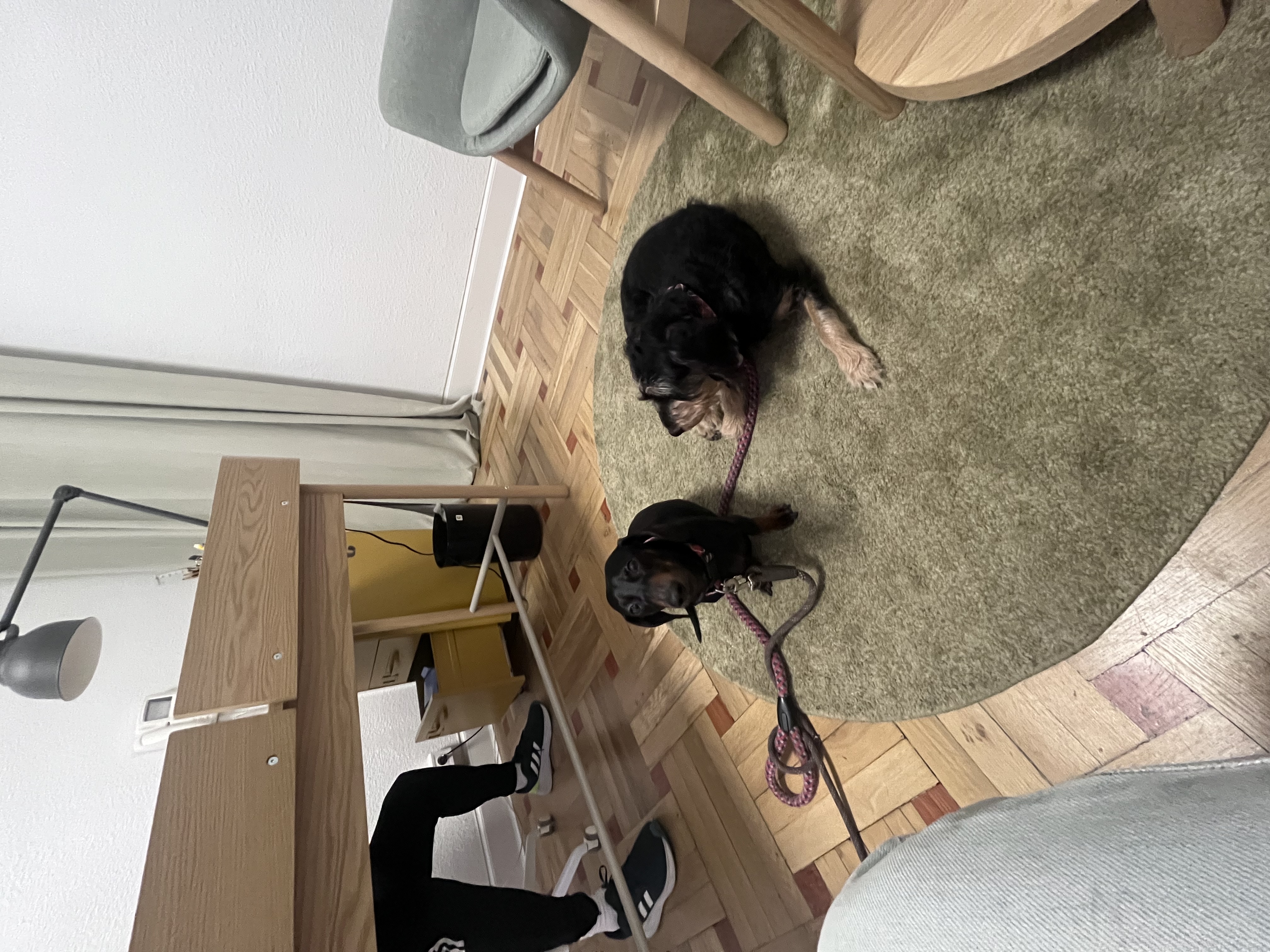 image-10
