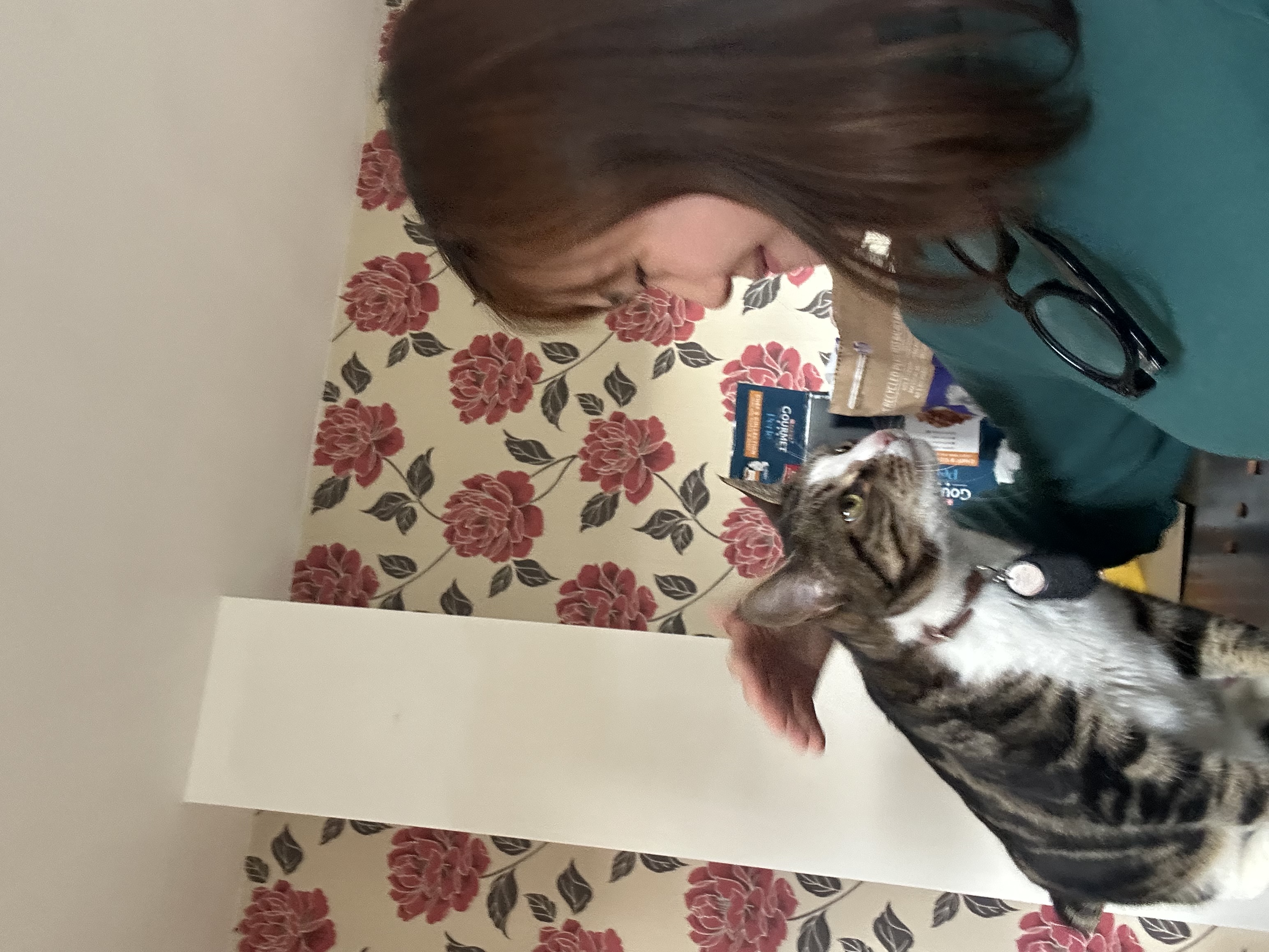 image-11