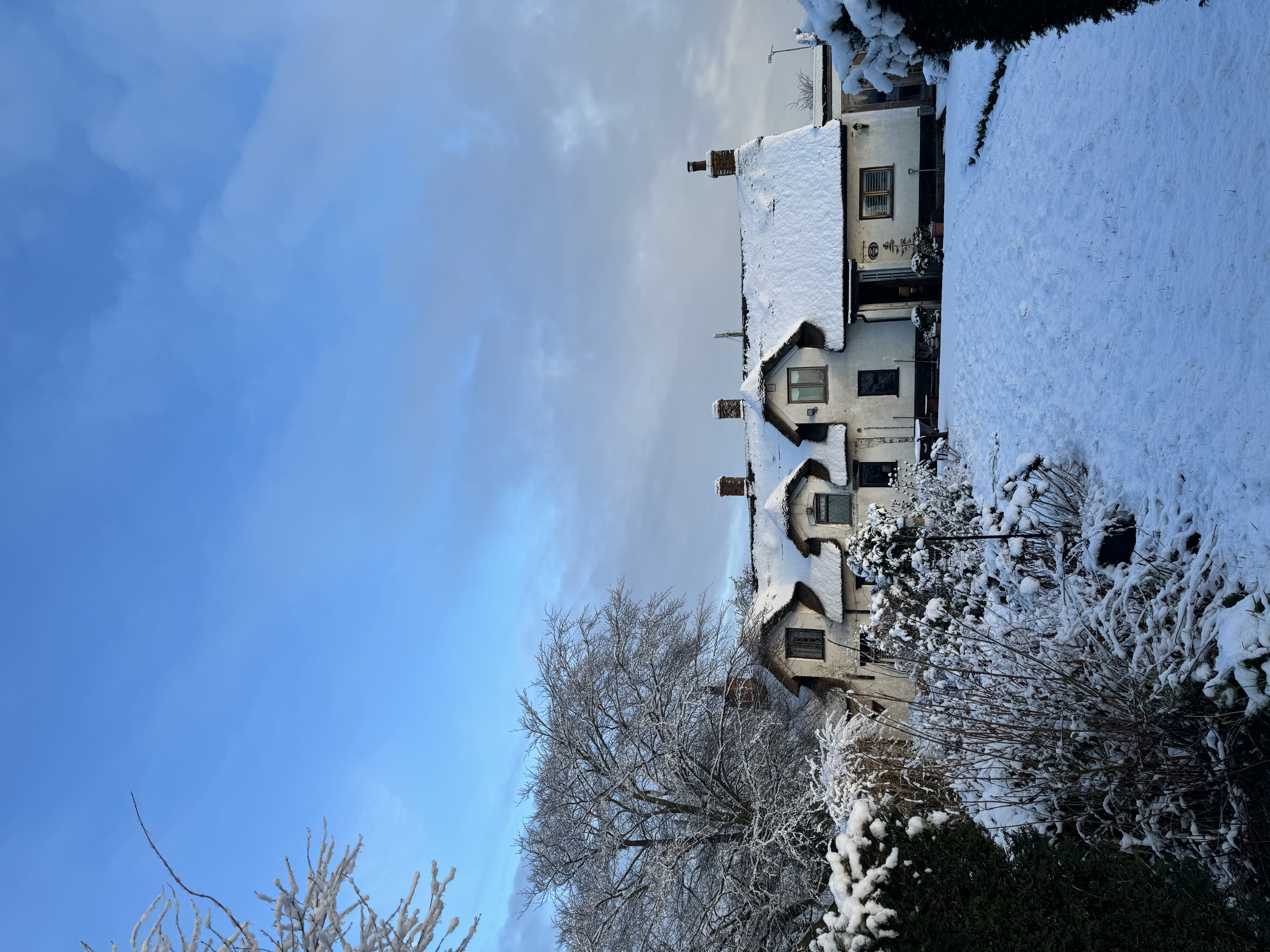 image-14